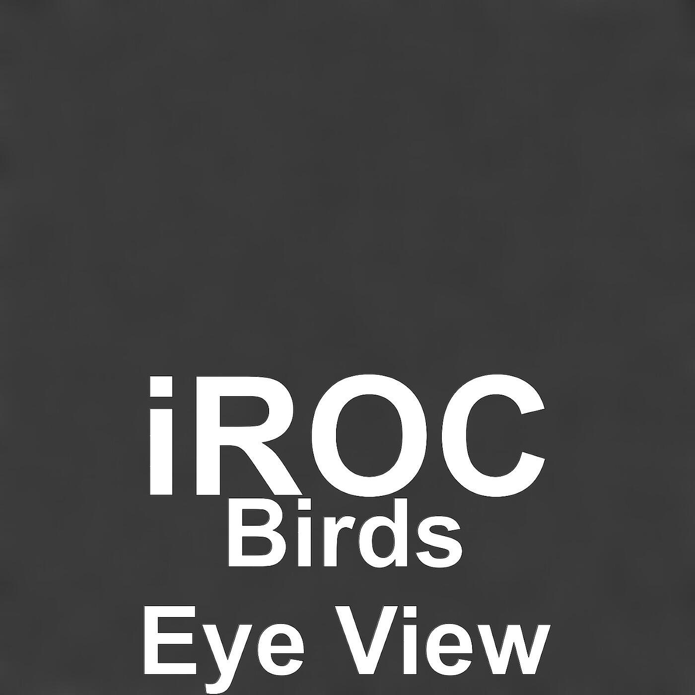 Релиз Birds Eye View