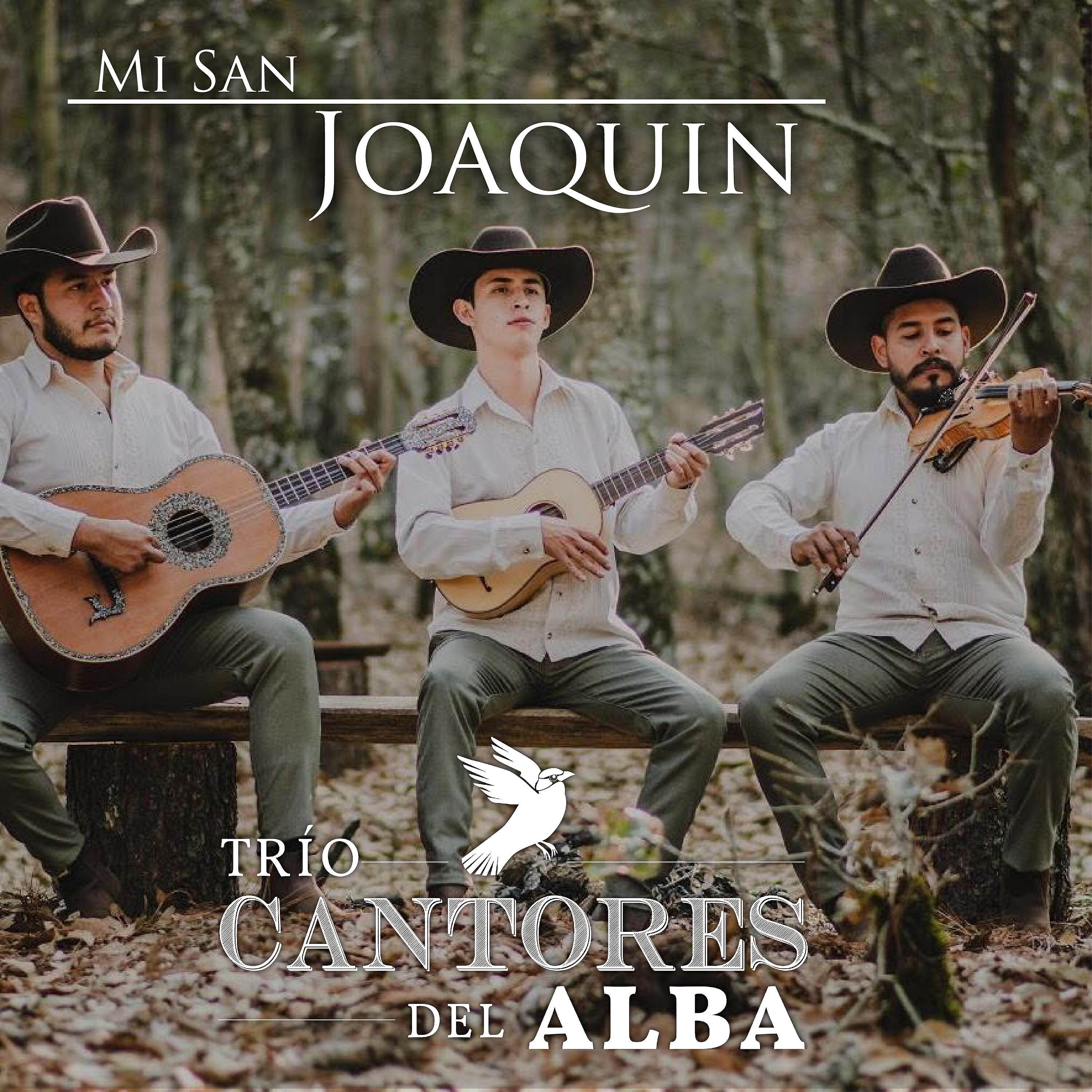 Релиз Mi San Joaquin