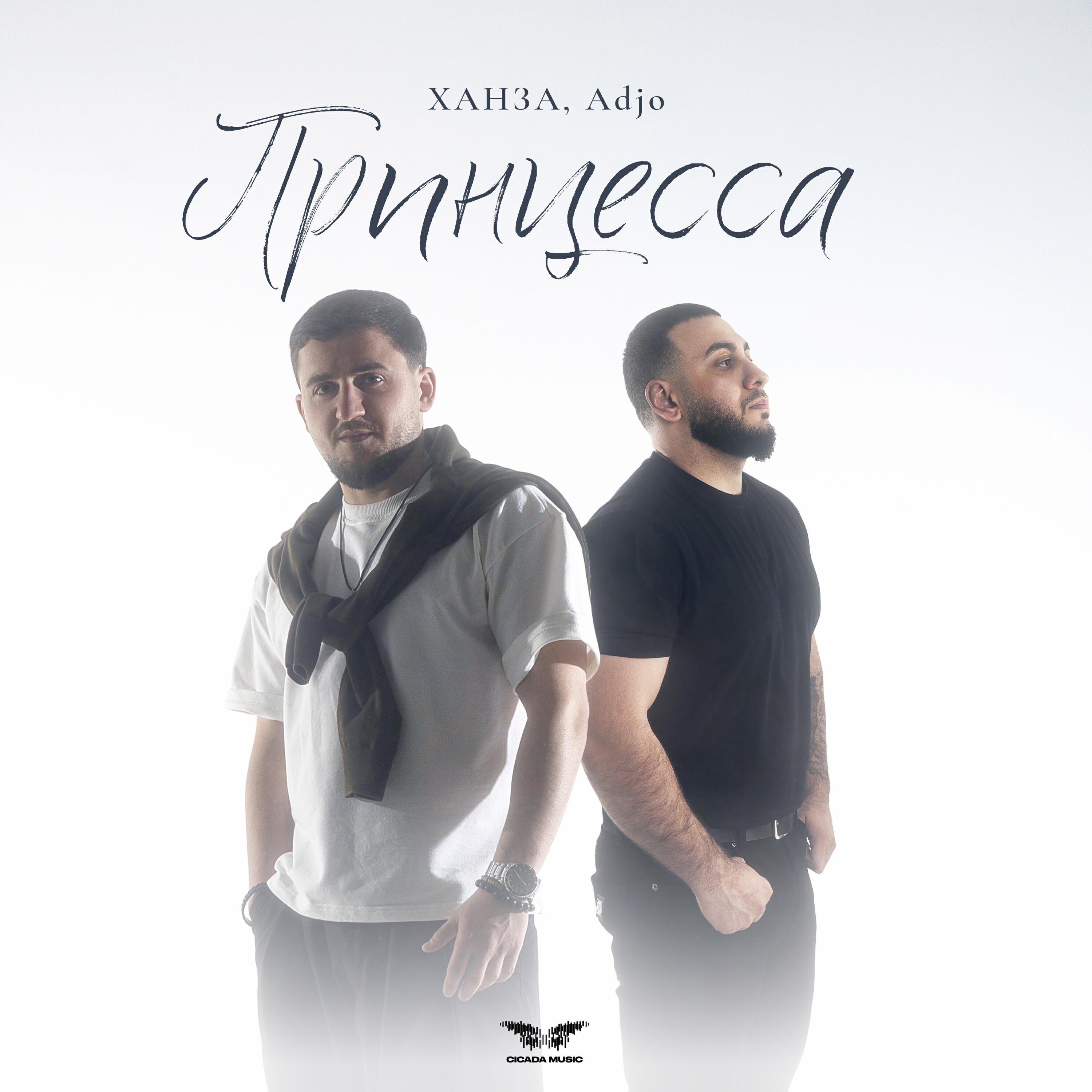 Релиз Принцесса