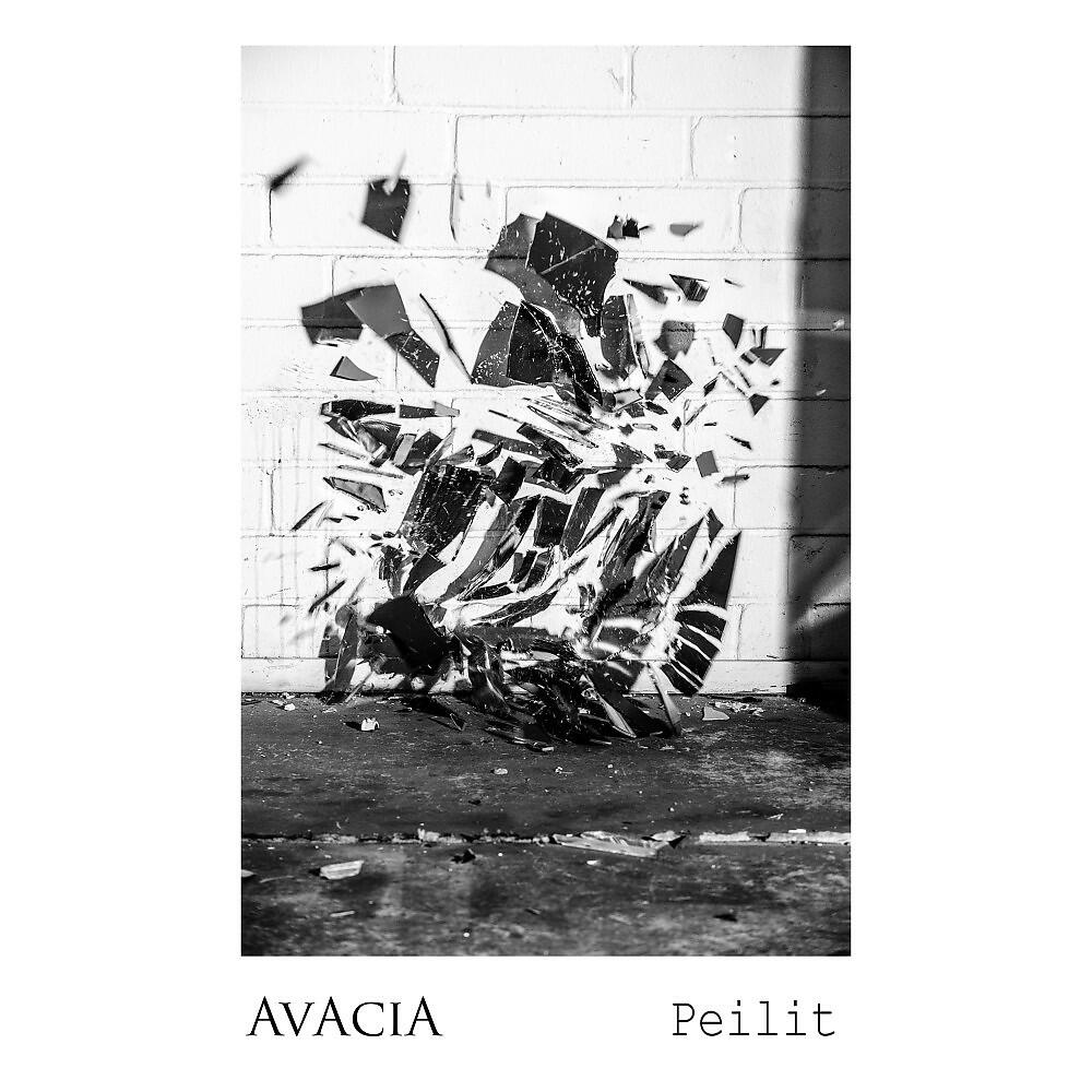 Релиз Peilit