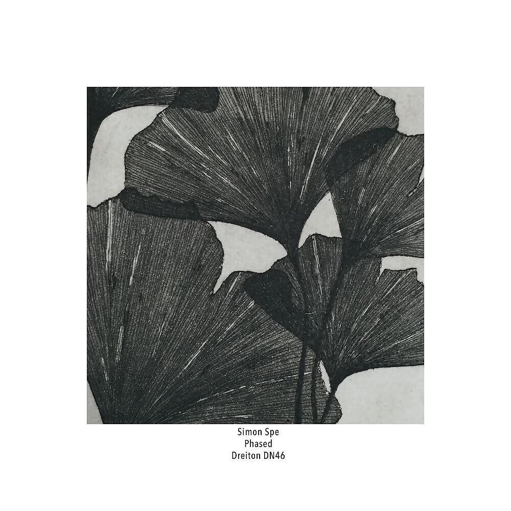 Релиз Phased