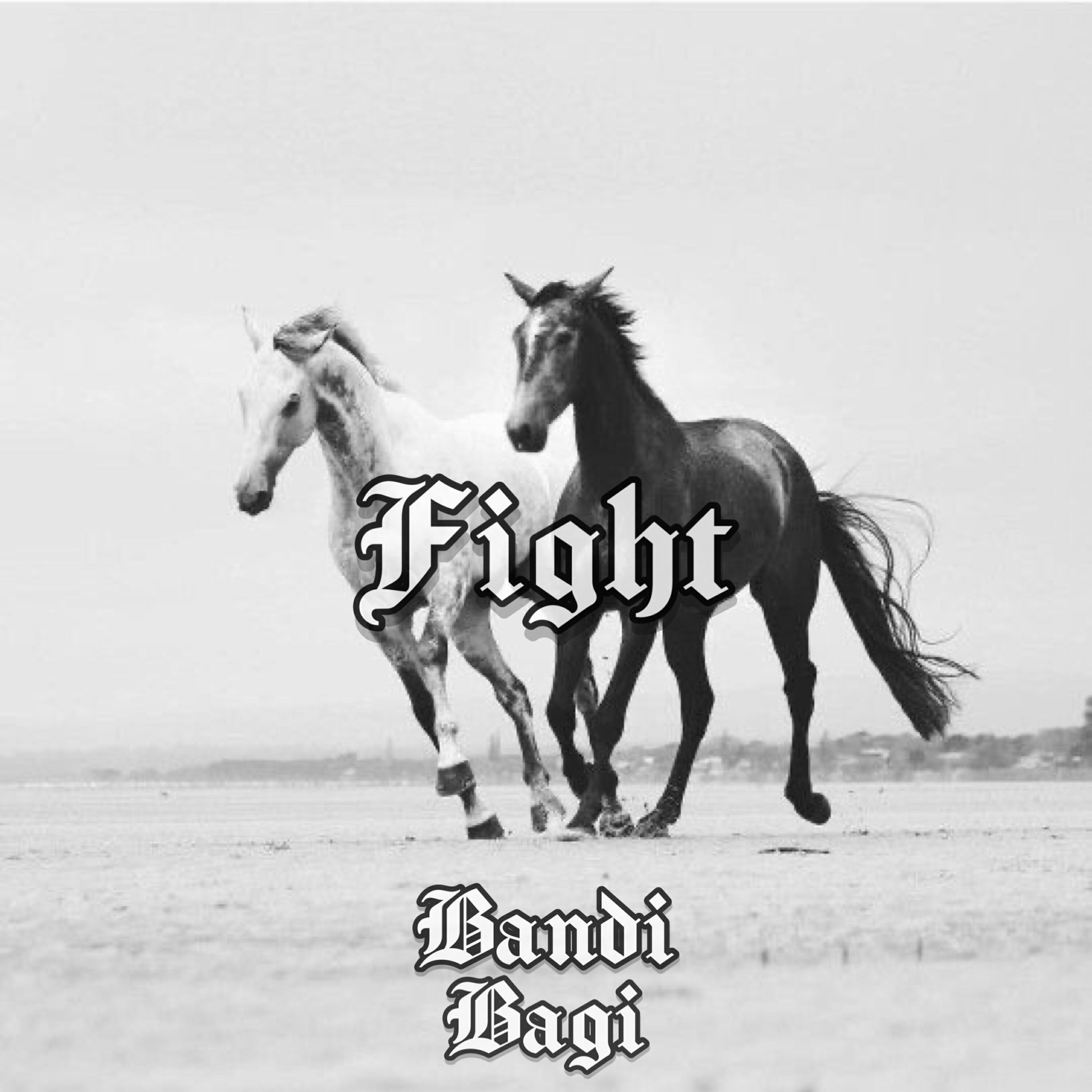 Релиз Fight
