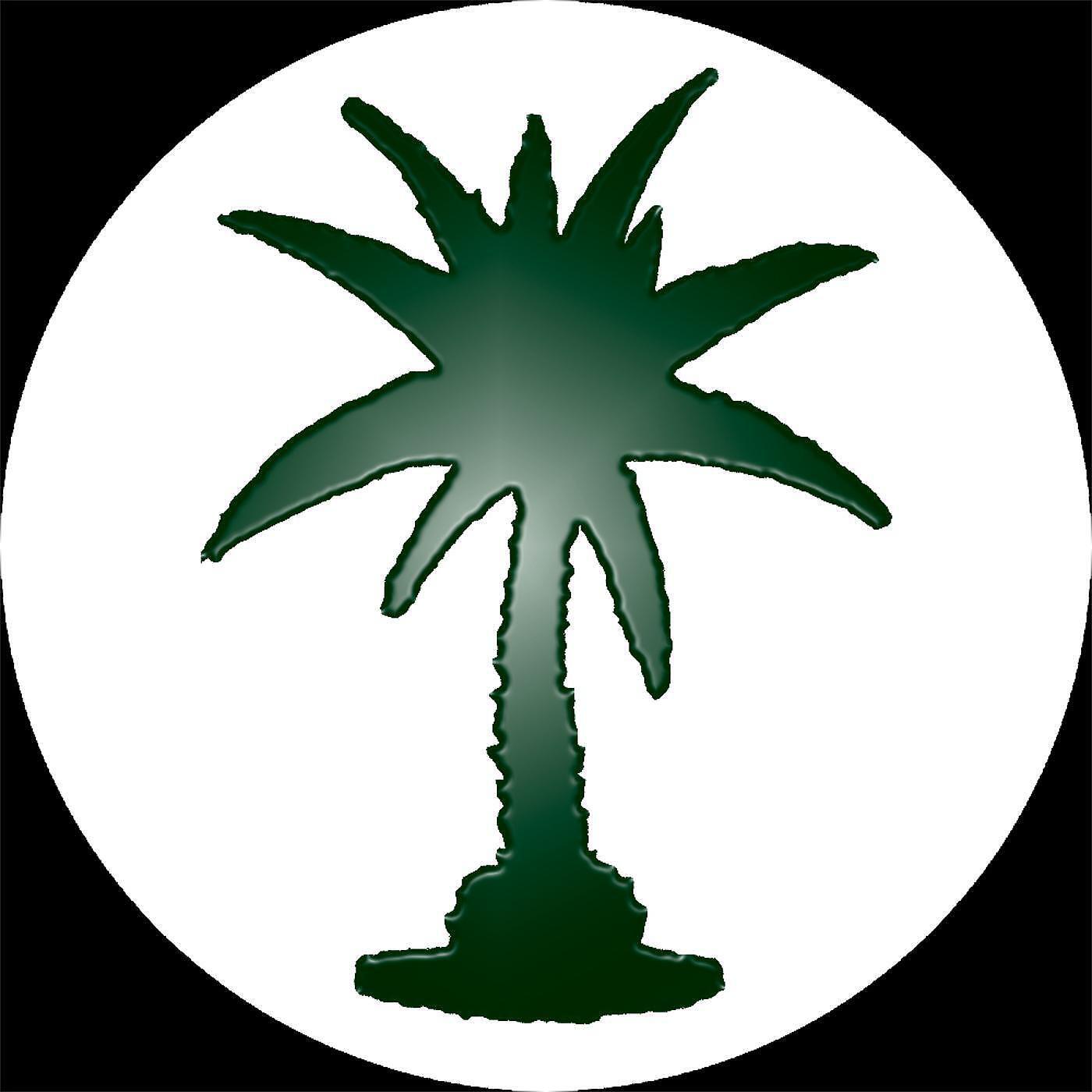 Релиз Borneo