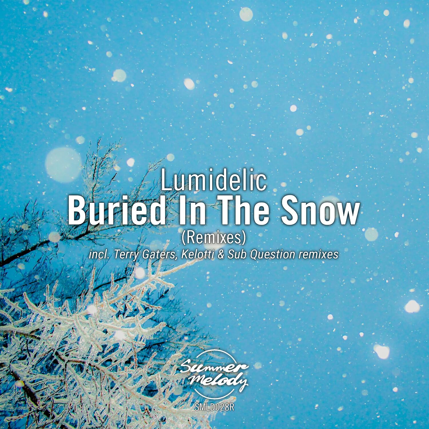 Релиз Buried in the Snow (Remixes)