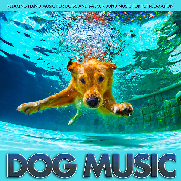 Релиз Dog Music: Relaxing Piano Music For Dogs and Background Music For Pet Relaxation