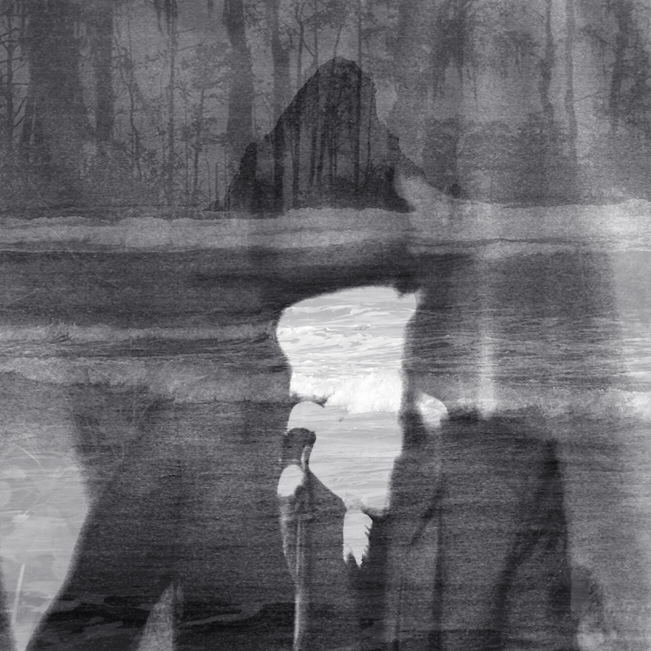 Релиз Swimming with the Crocodiles