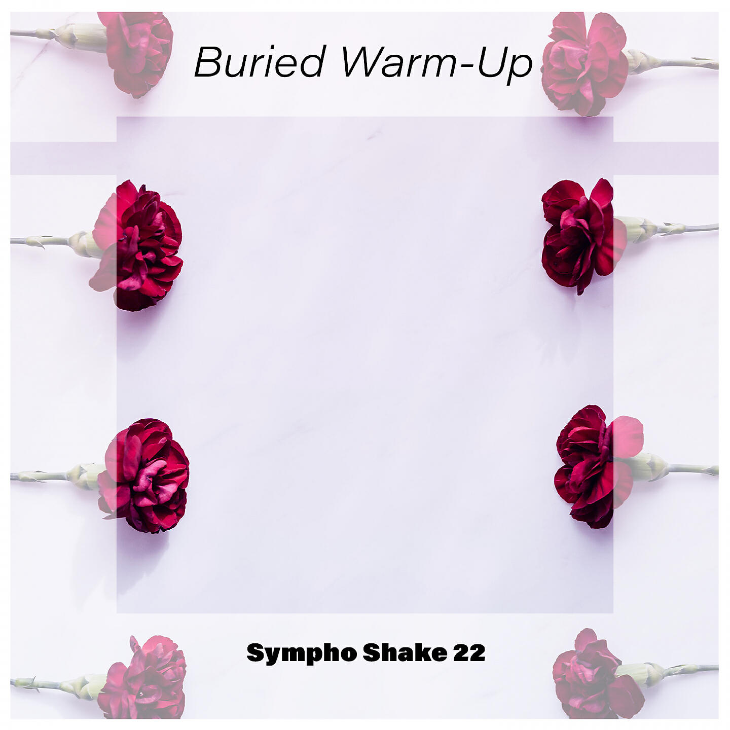 Релиз Buried Warm-Up Sympho Shake 22
