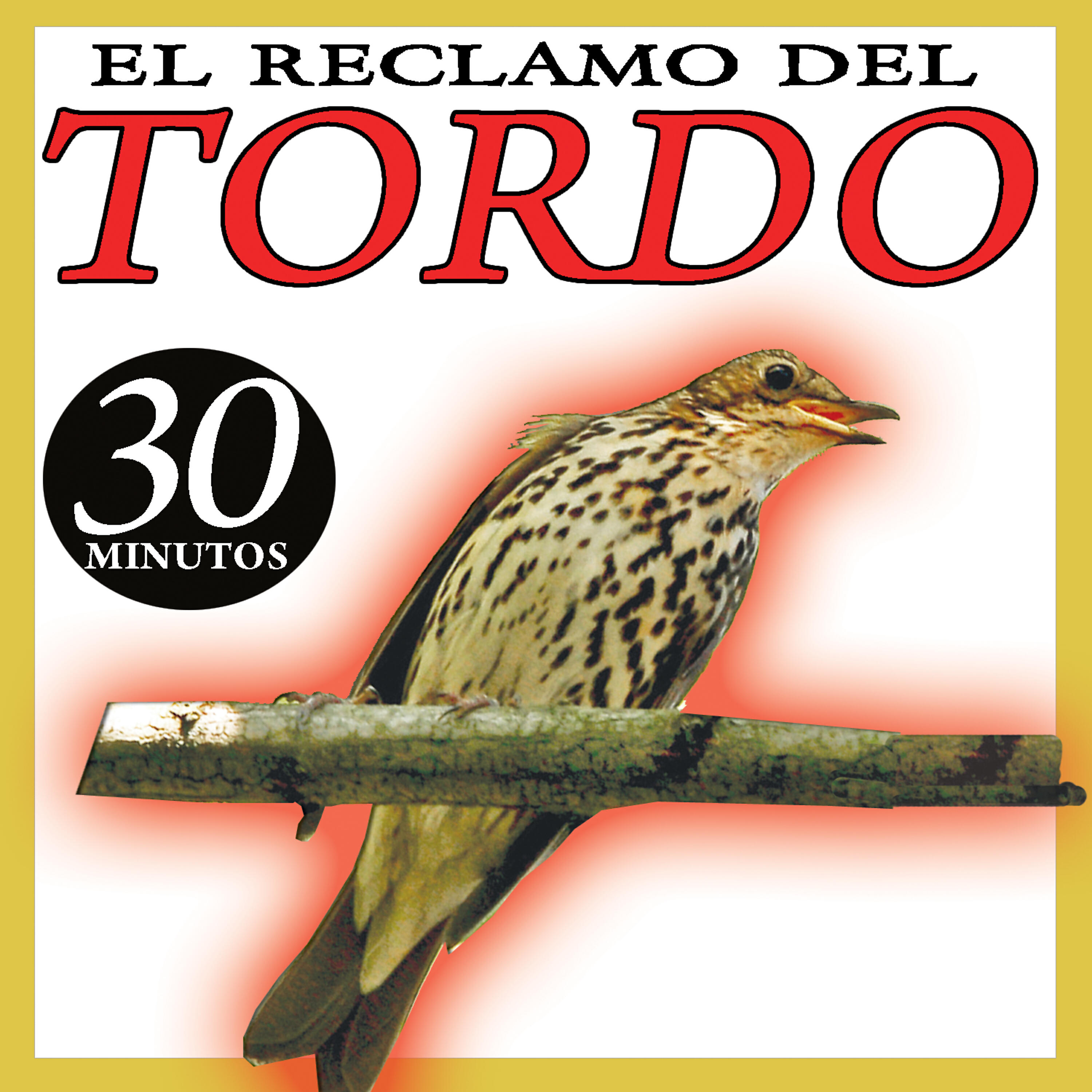 Релиз Reclamo Para Tordos Cantos De Pajaros Zorzal