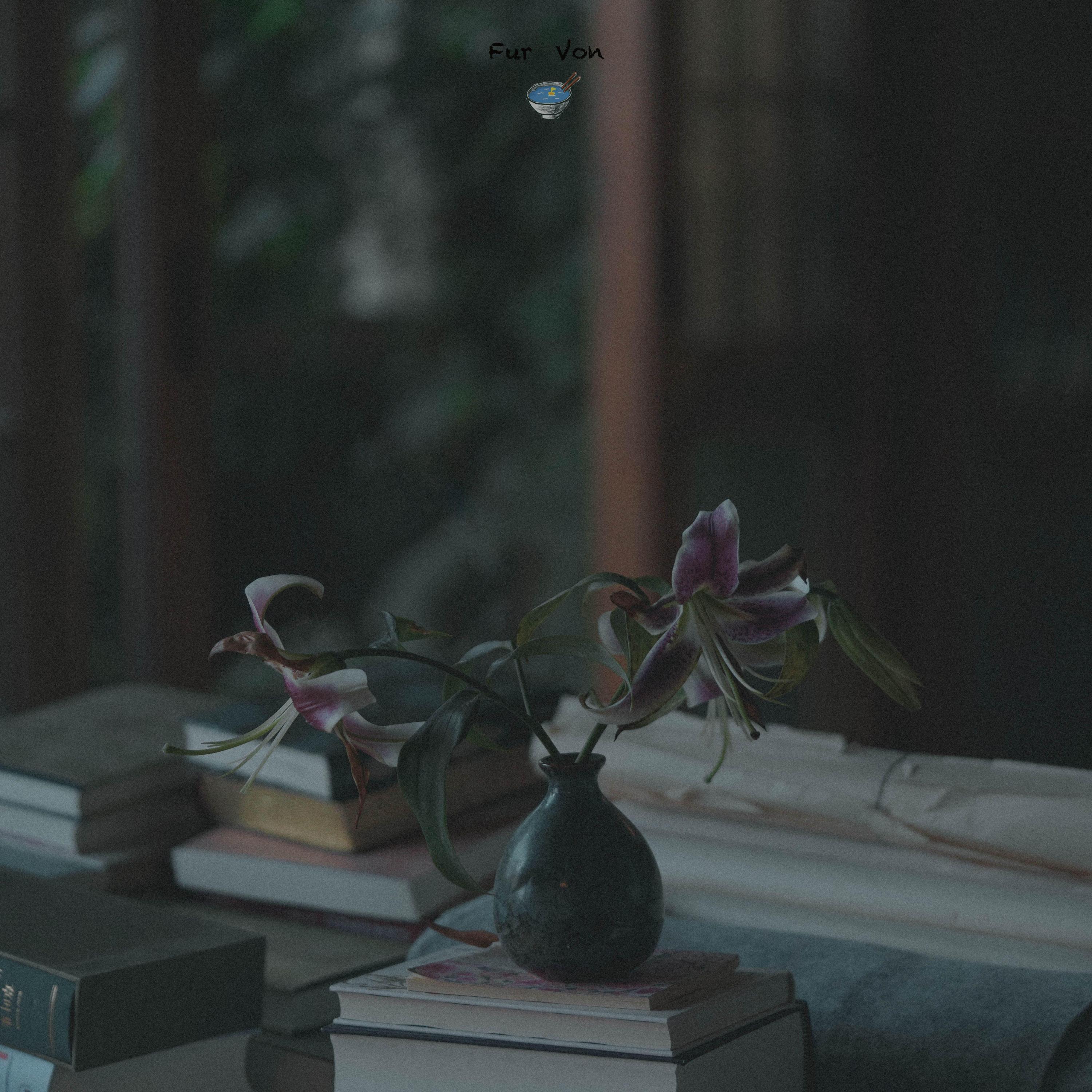 Релиз 看不到日落的房间