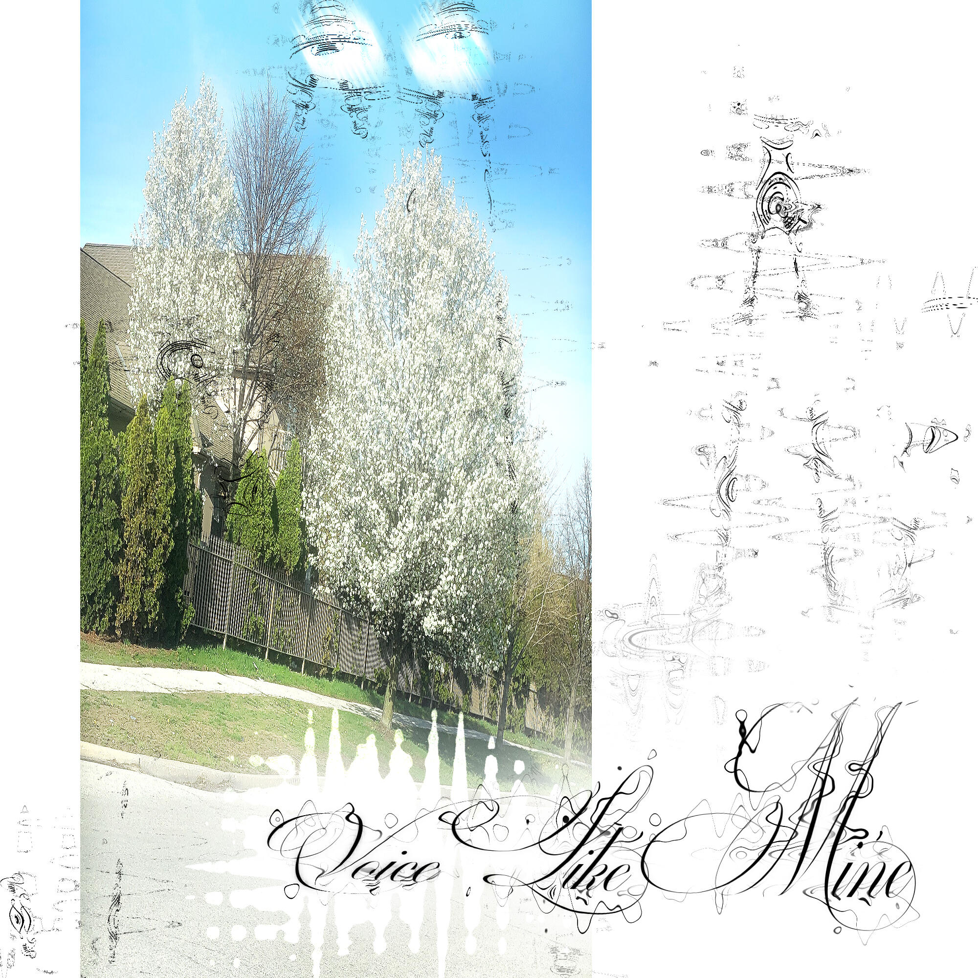 Релиз voice like mine