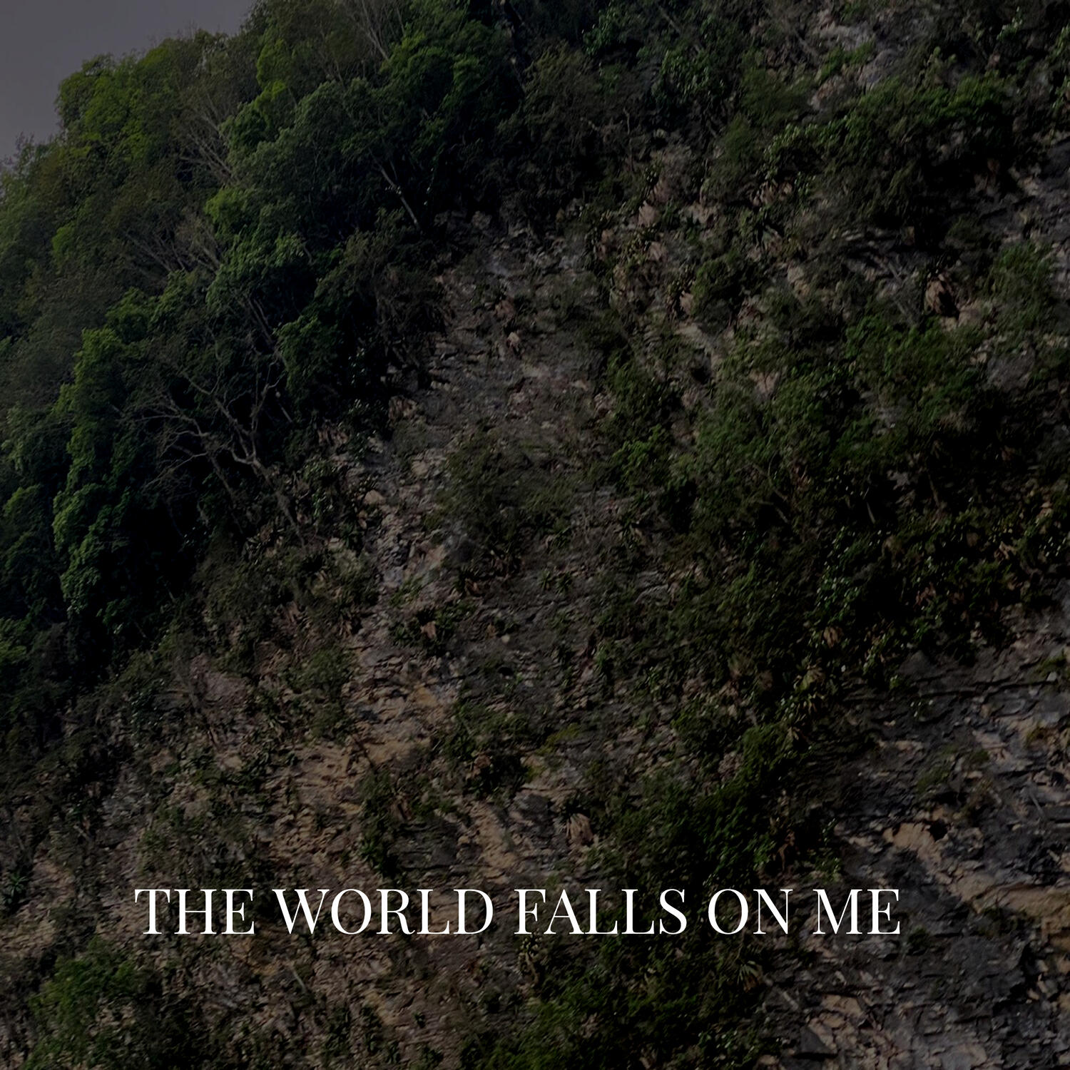 Релиз The World Falls on Me