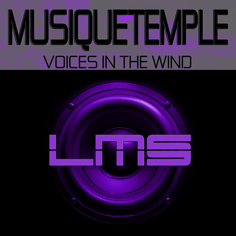 Релиз Voices In The Wind (Main Mix)