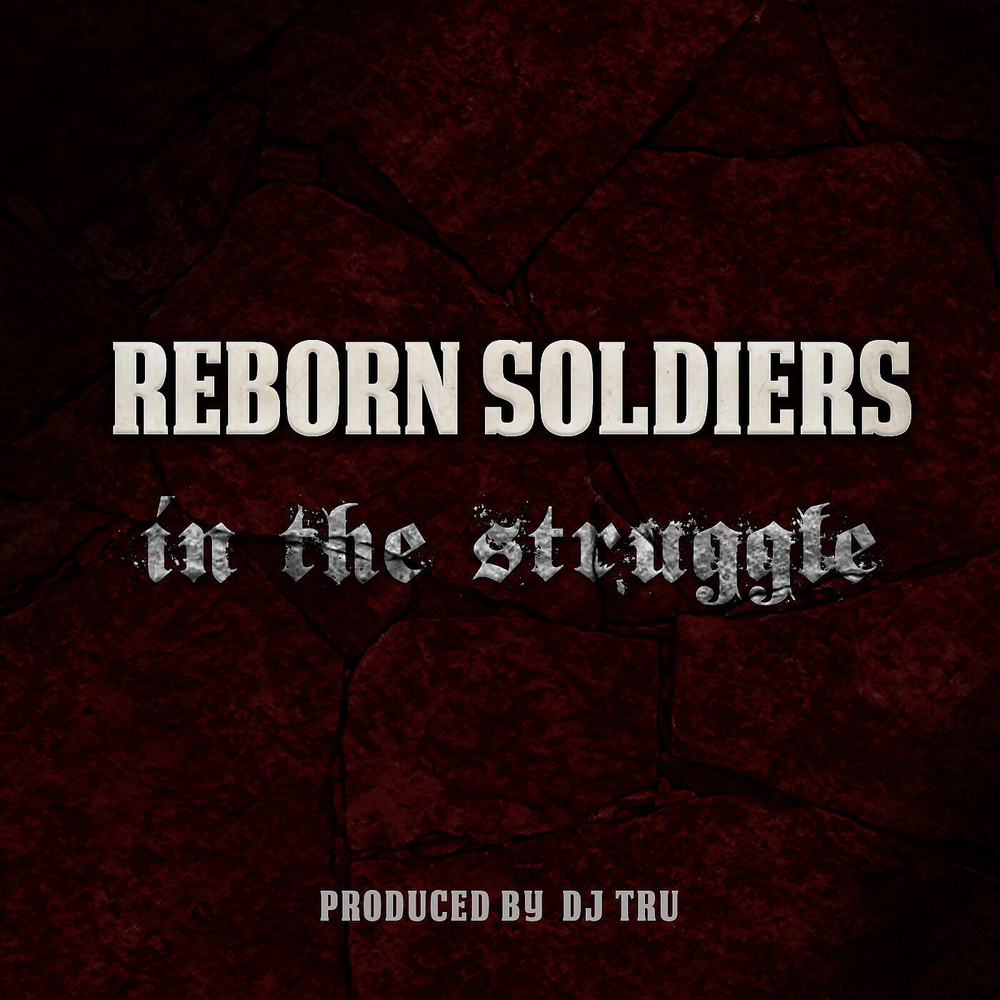 Релиз In the Struggle