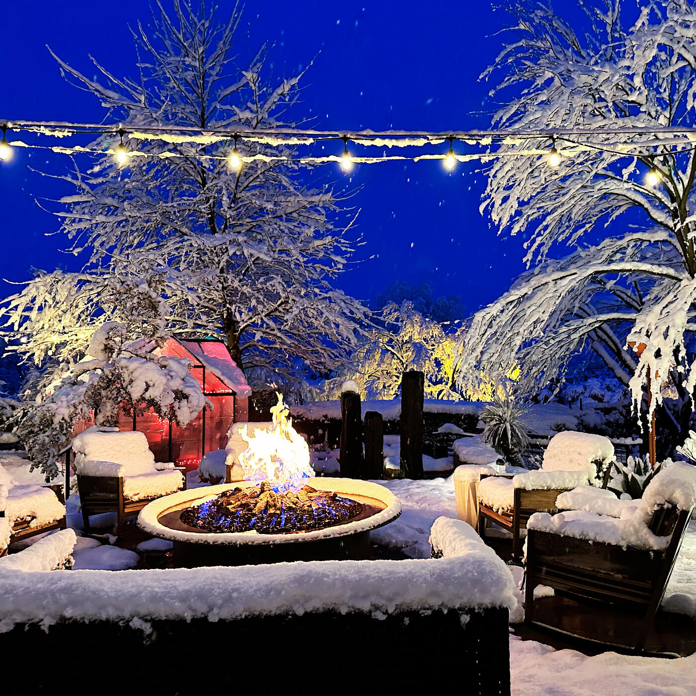 Релиз A Lone Wolf's Story