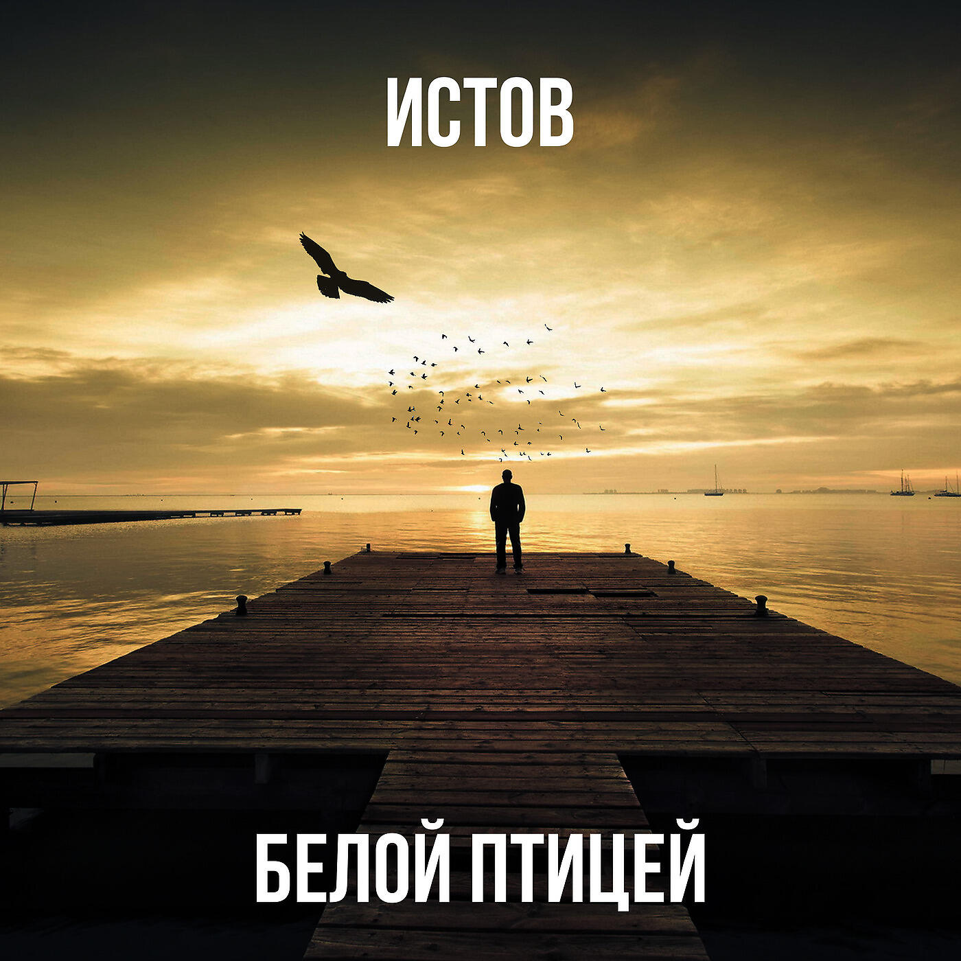 Скачать песню Истов - Белой птицей бесплатно в MP3 для Android и iOS