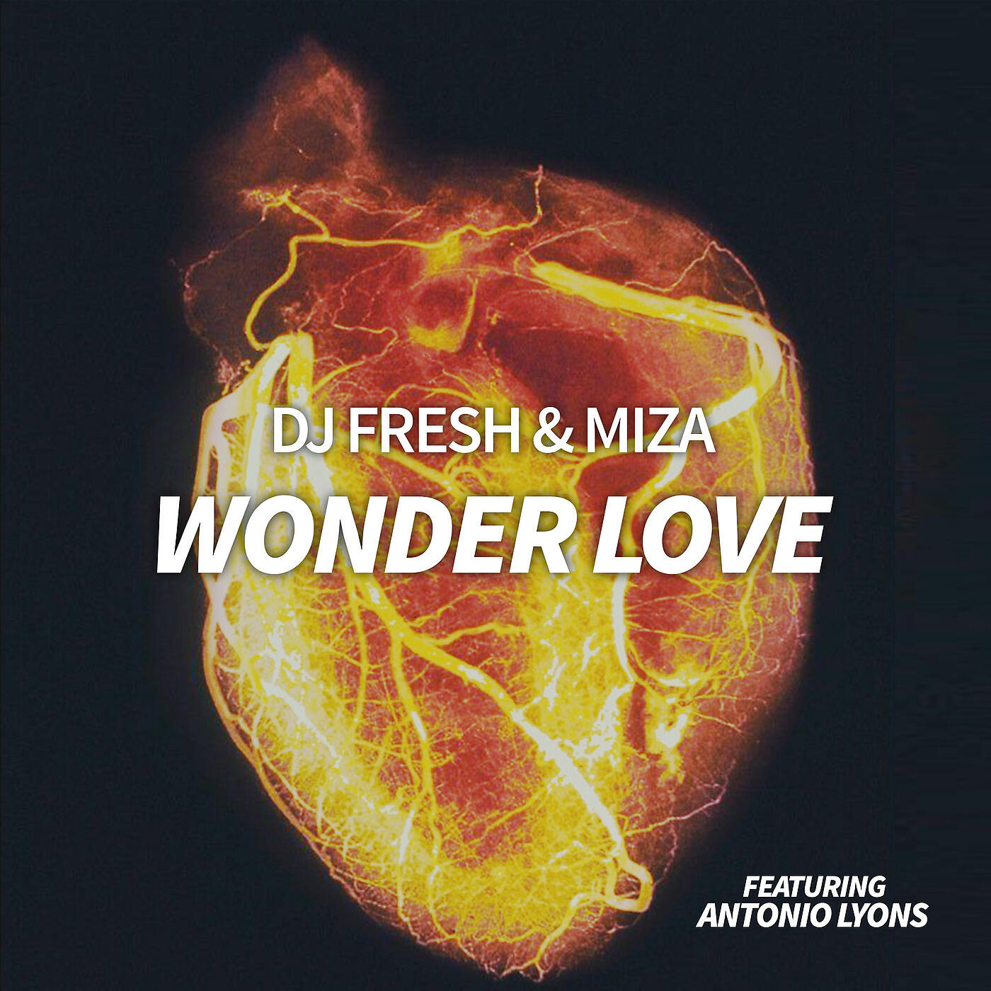 Постер альбома Wonder Love