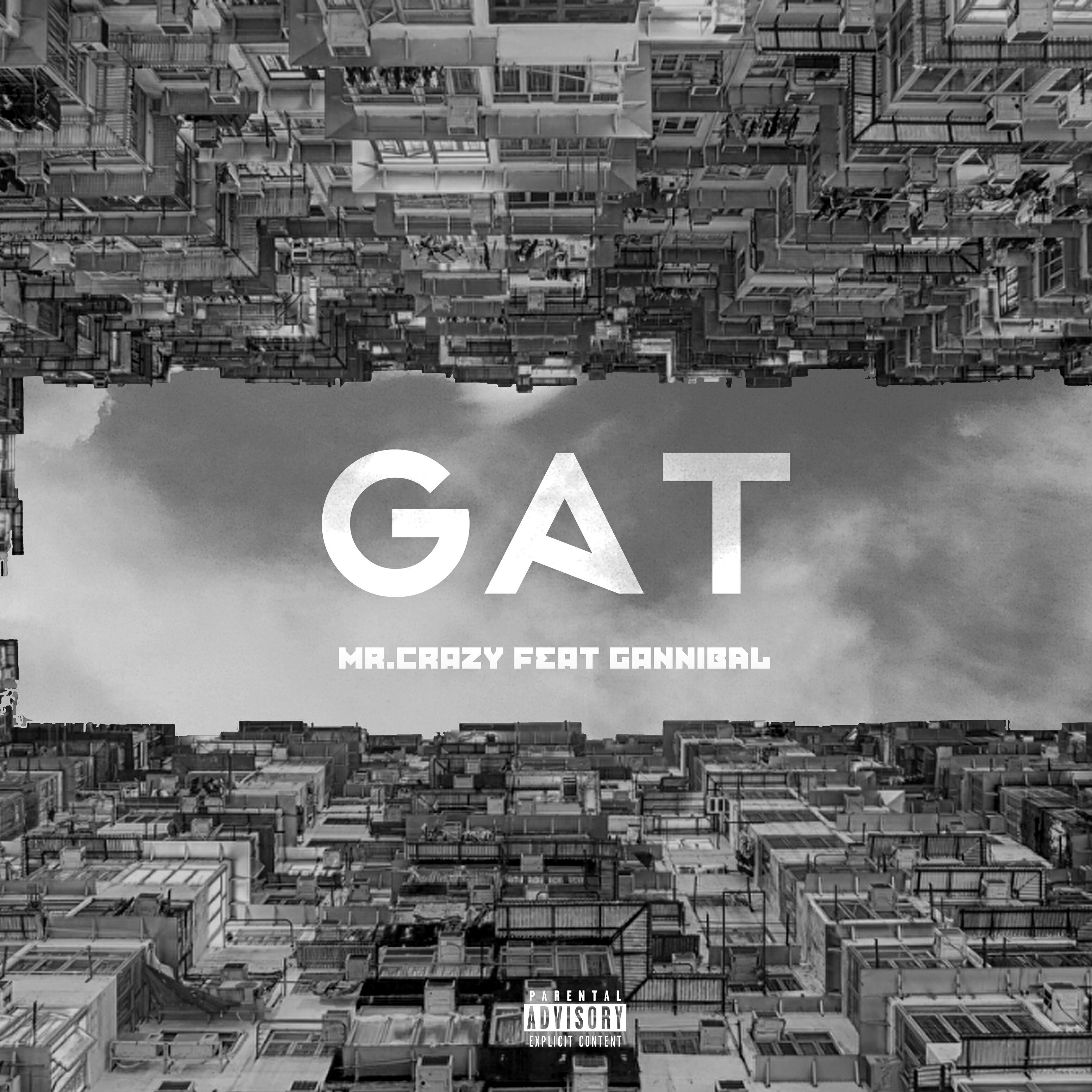 Релиз Gat (feat. Gannibal)