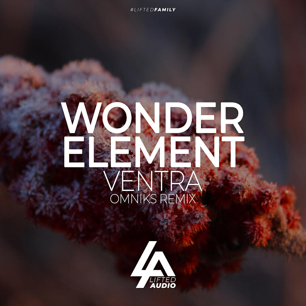 Релиз Ventra (Omniks Remix)