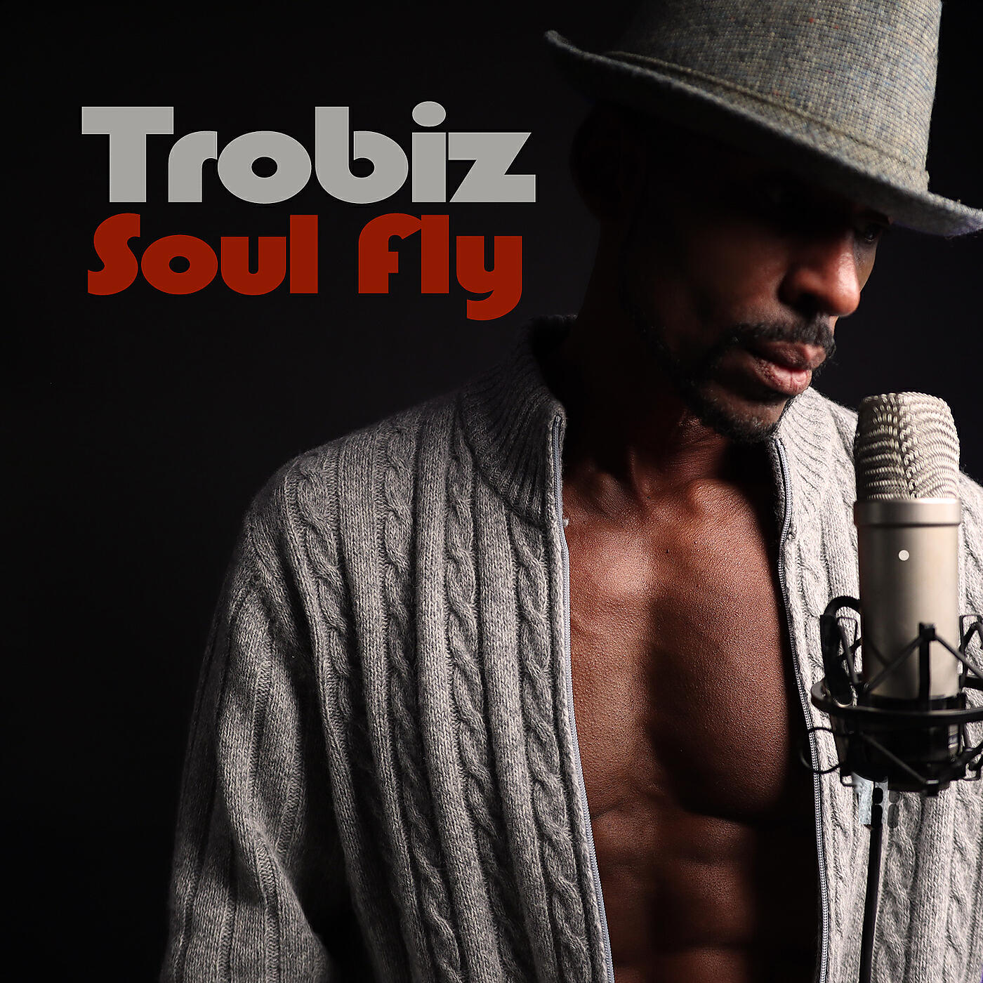 Релиз Soul Fly