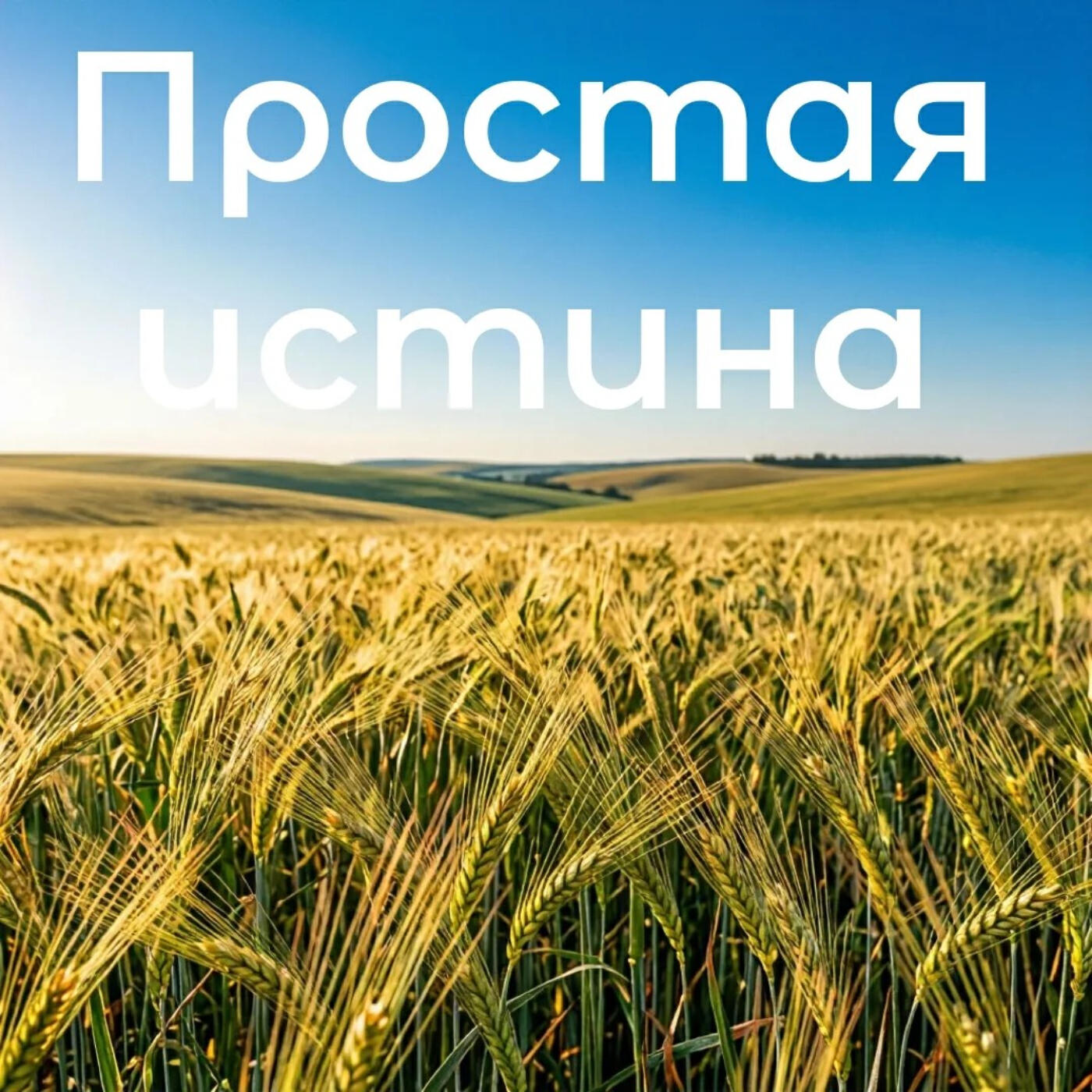 Релиз Простая истина