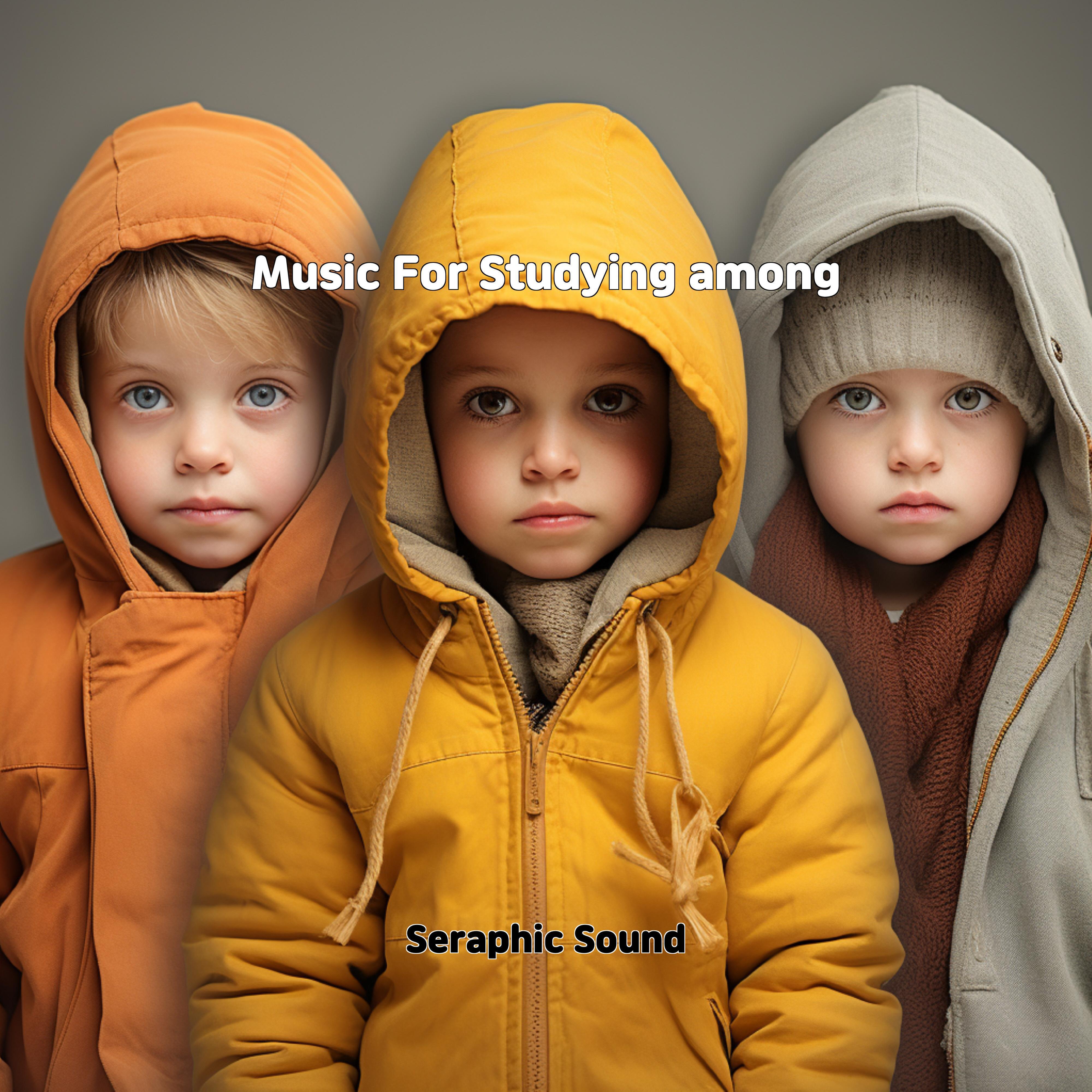 Релиз Music For Studying among