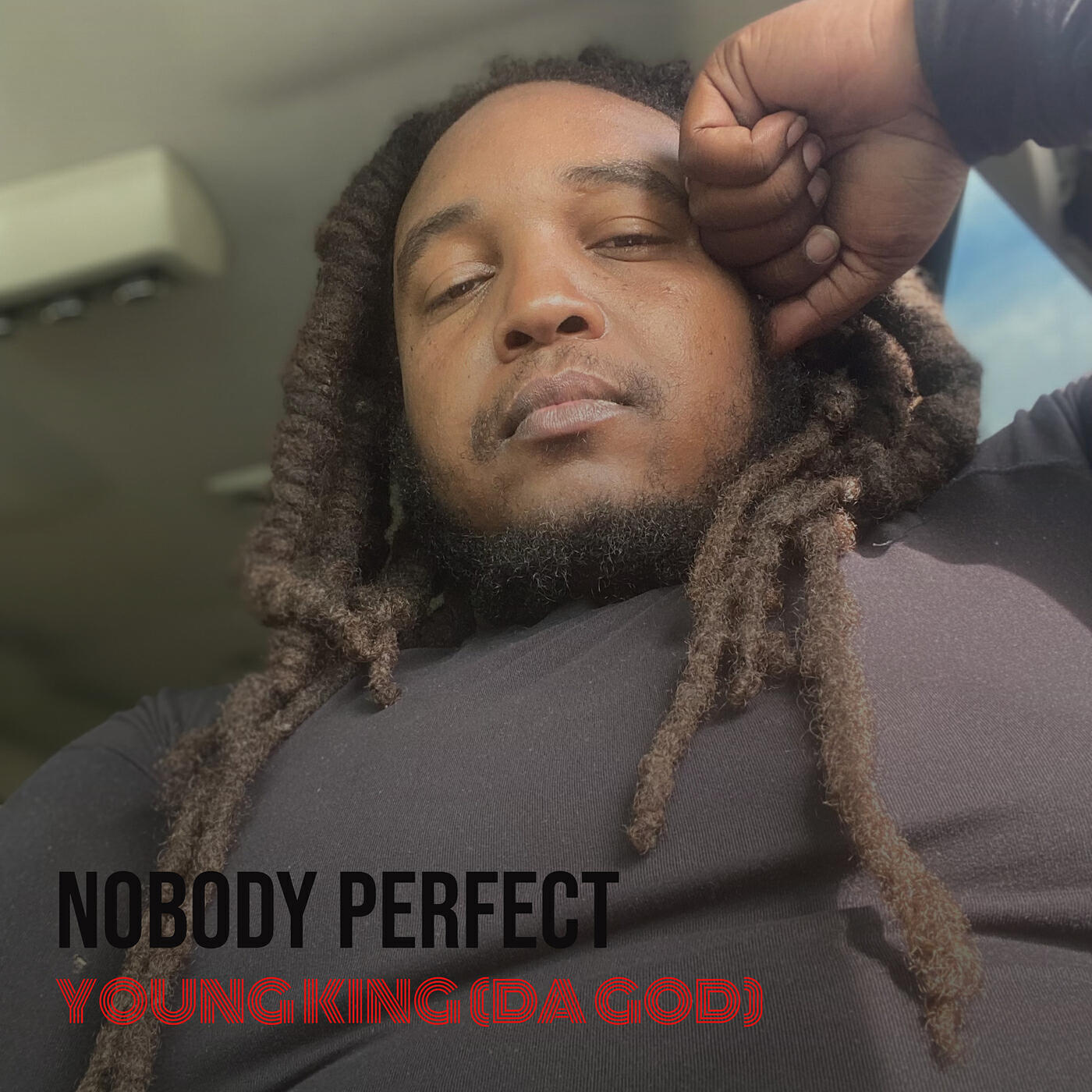 Релиз Nobody Perfect
