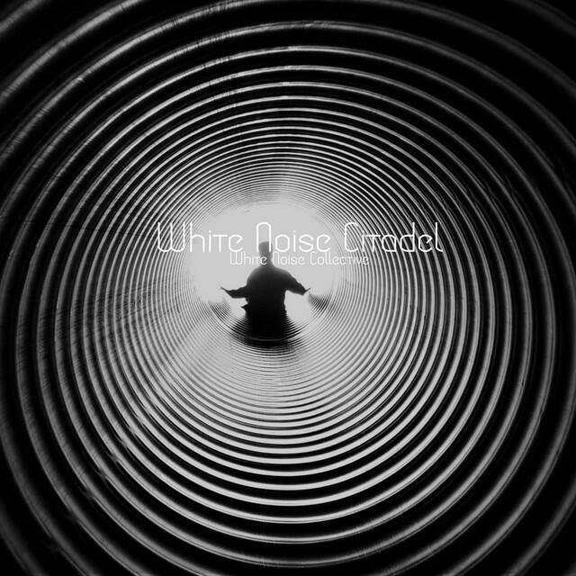 Релиз White Noise CItadel