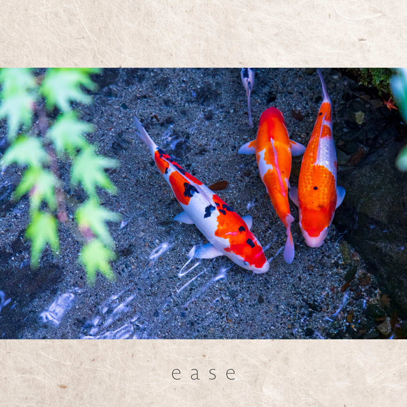 Релиз ease