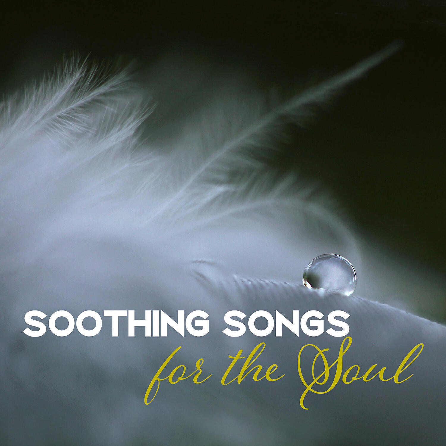 Релиз Soothing Songs for the Soul: 30 Relaxing Istrumental New Age for Transcendental Meditation, Yoga Training, Serenity & Balance