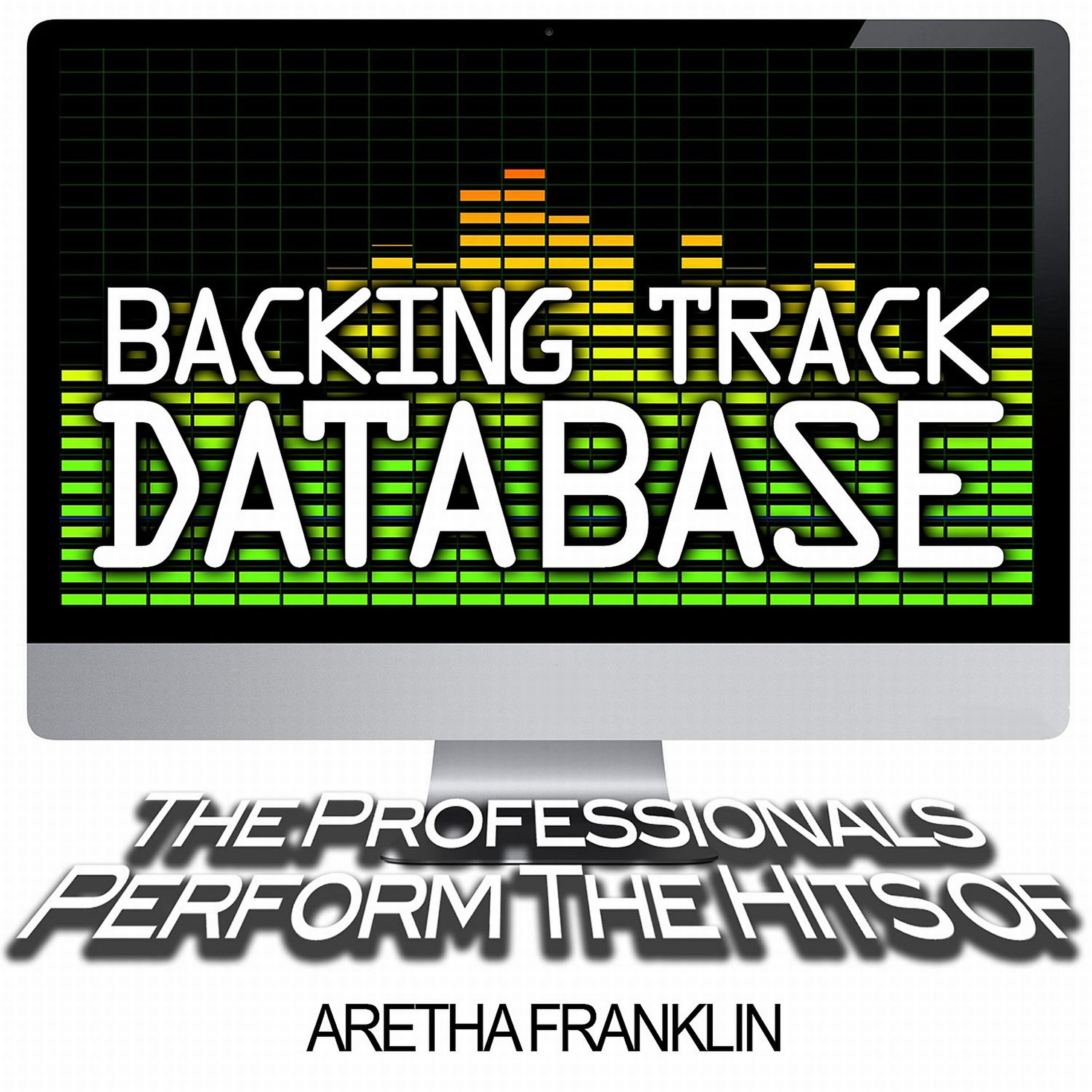 Релиз Backing Track Database - The Professionals Perform the Hits of Aretha Franklin (Instrumental)