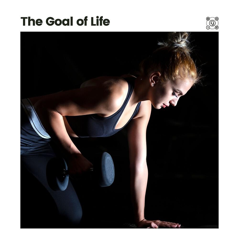 Релиз The Goal of Life