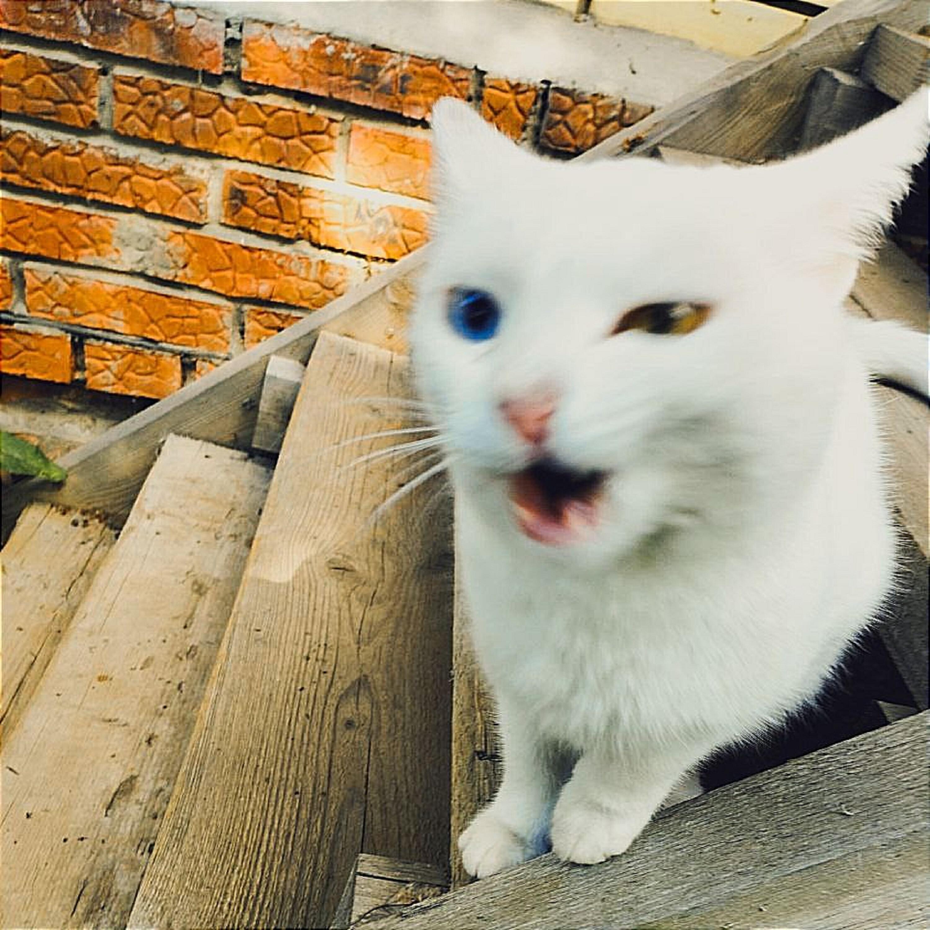 Или Около Того