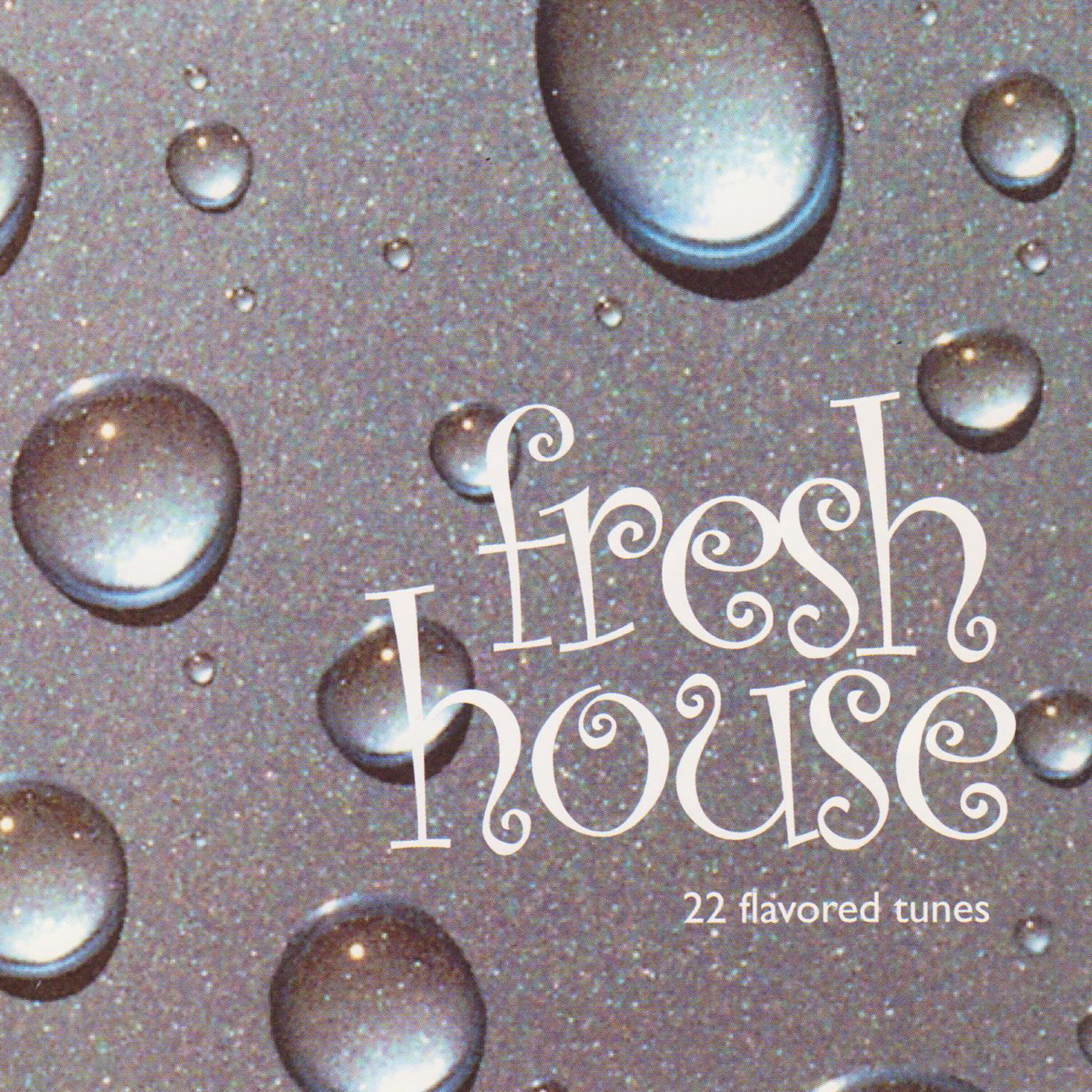 Релиз Fresh House - 22 Flavored Tunes