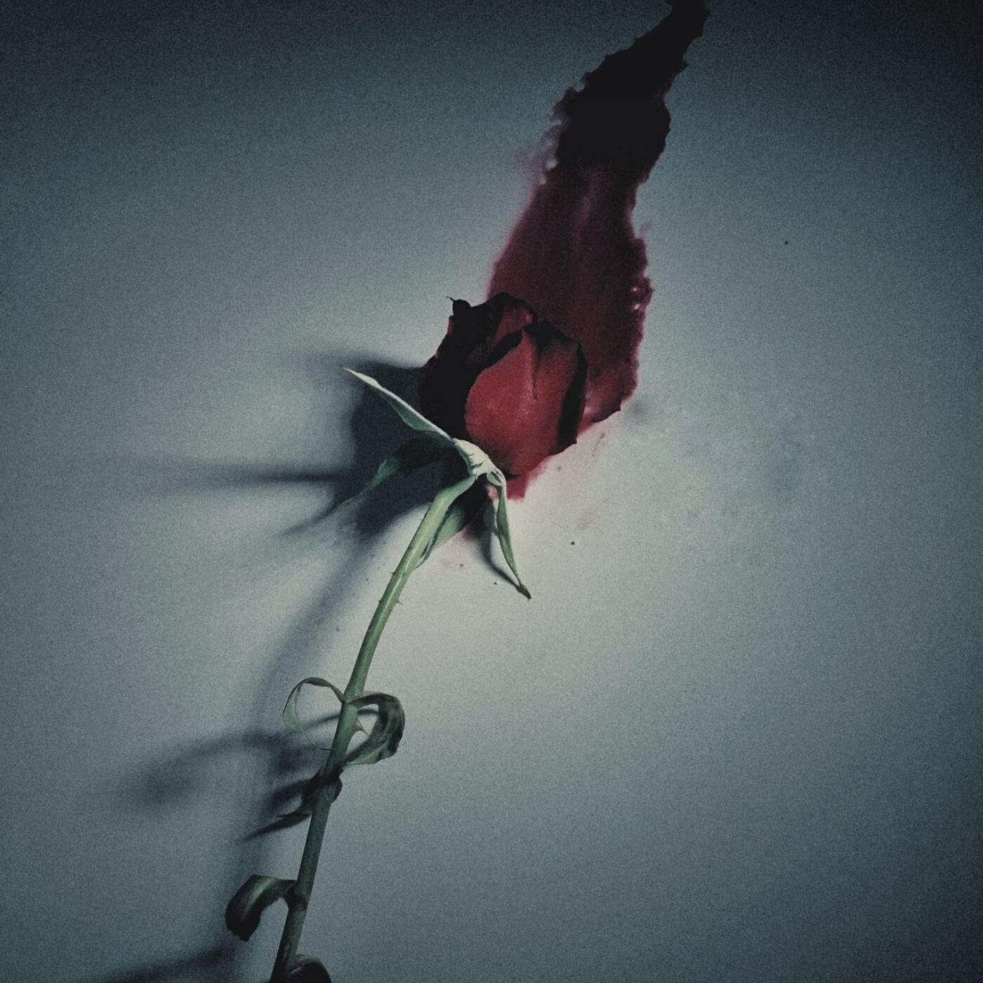 Релиз My Heart for You