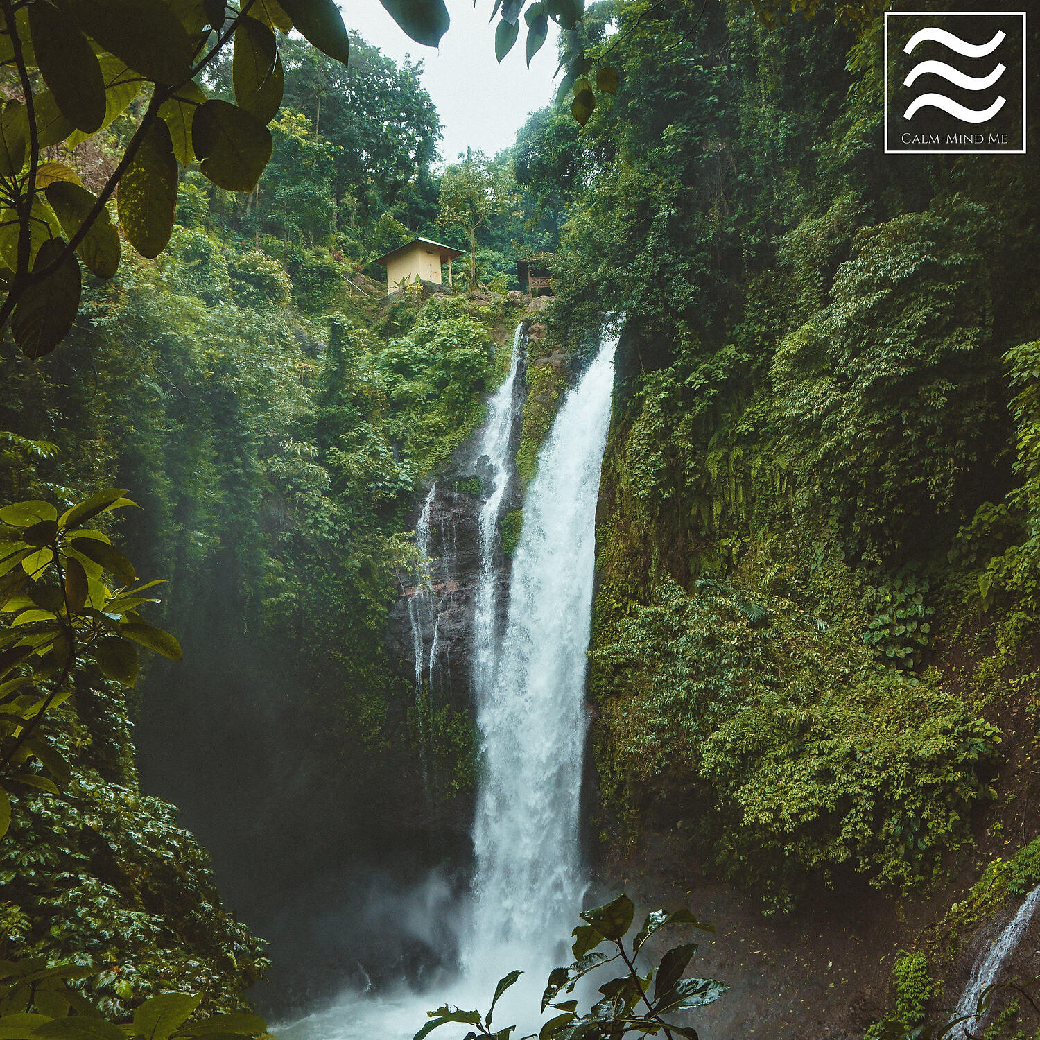 Релиз Relaxation Ambient of Nature