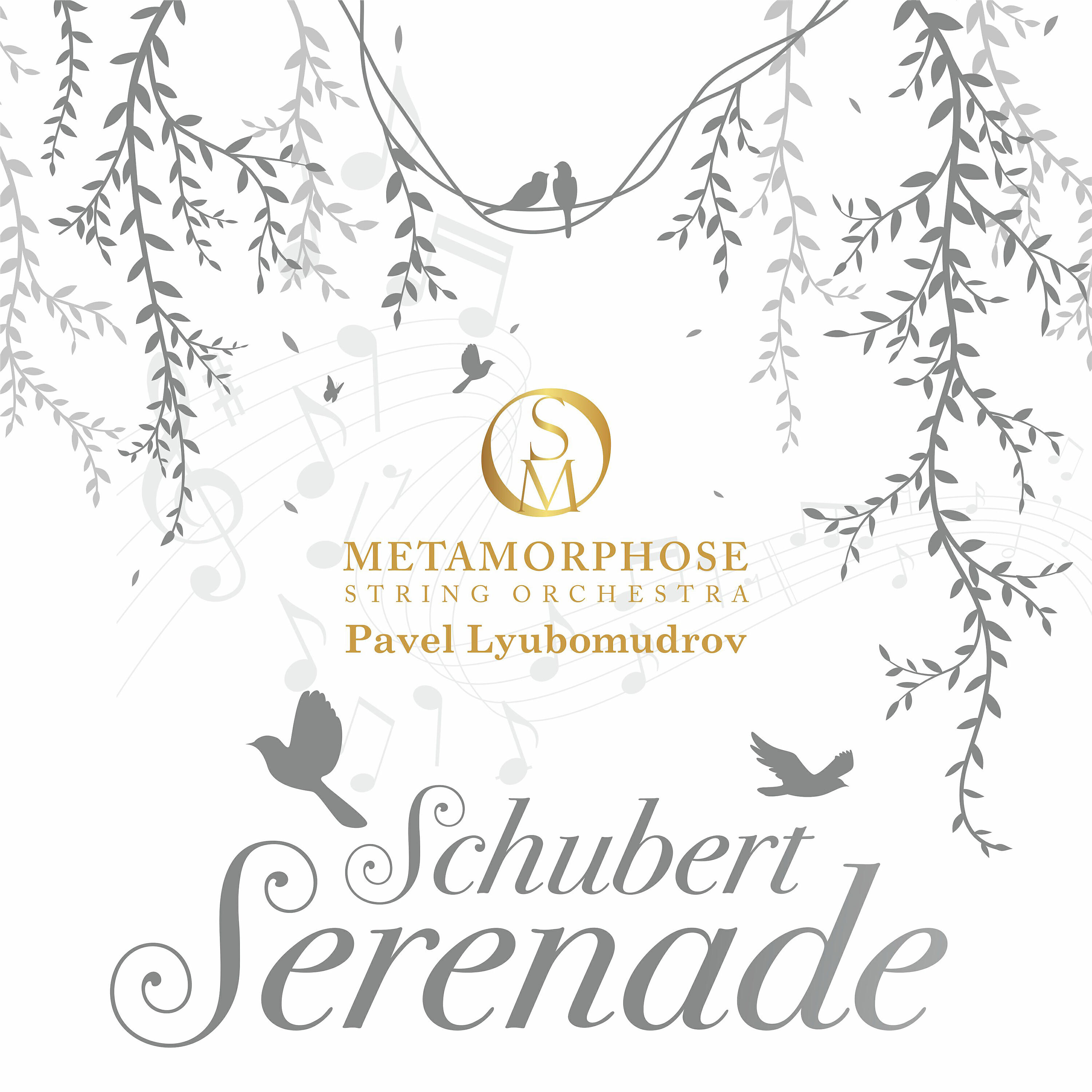 Релиз Schwanengesang, D. 957: Ständchen (Arr. for String Orchestra by Matt Naughtin)