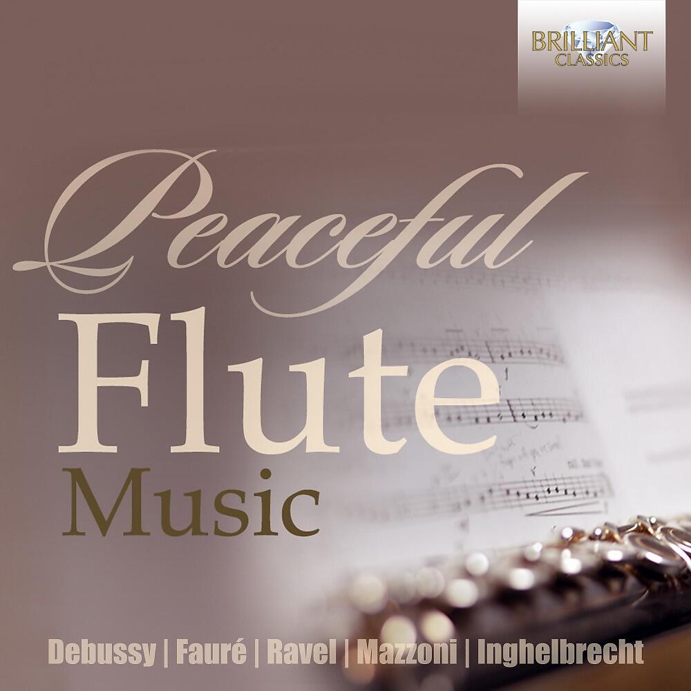 Релиз Peaceful Flute Music