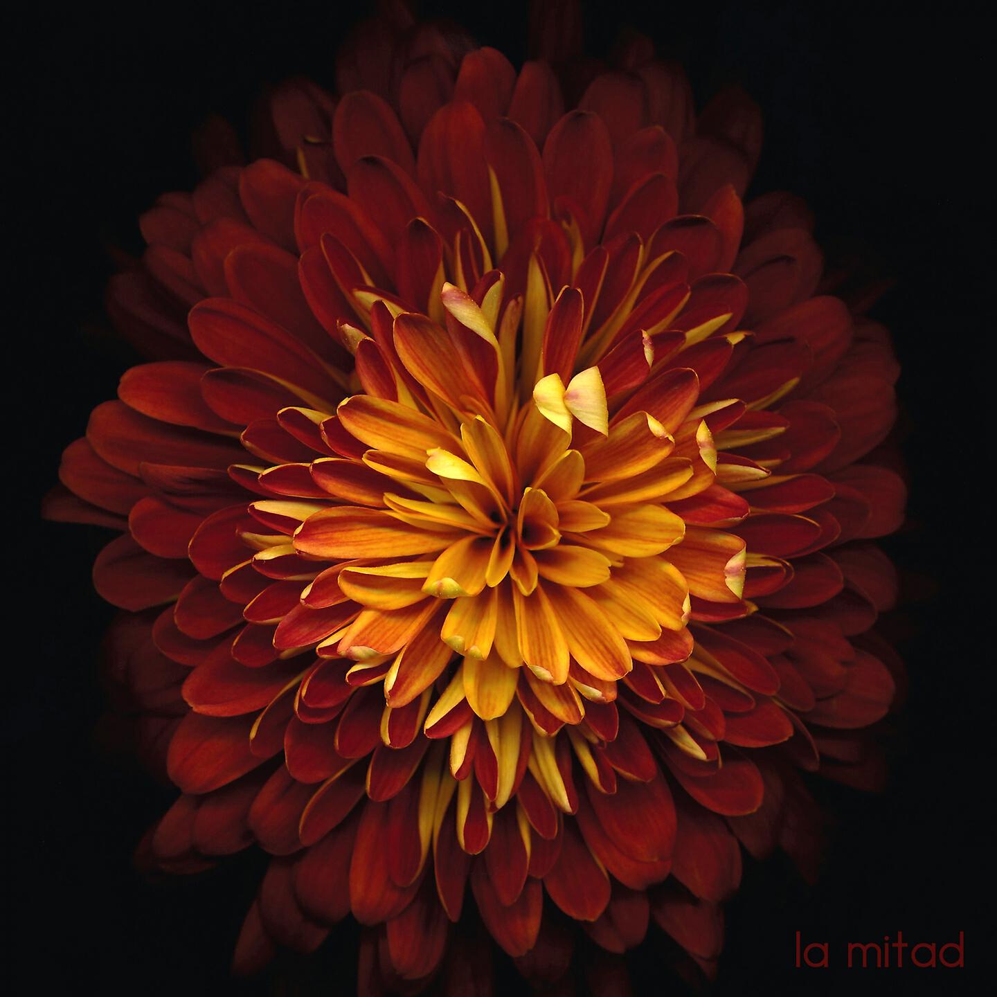 Релиз La Mitad