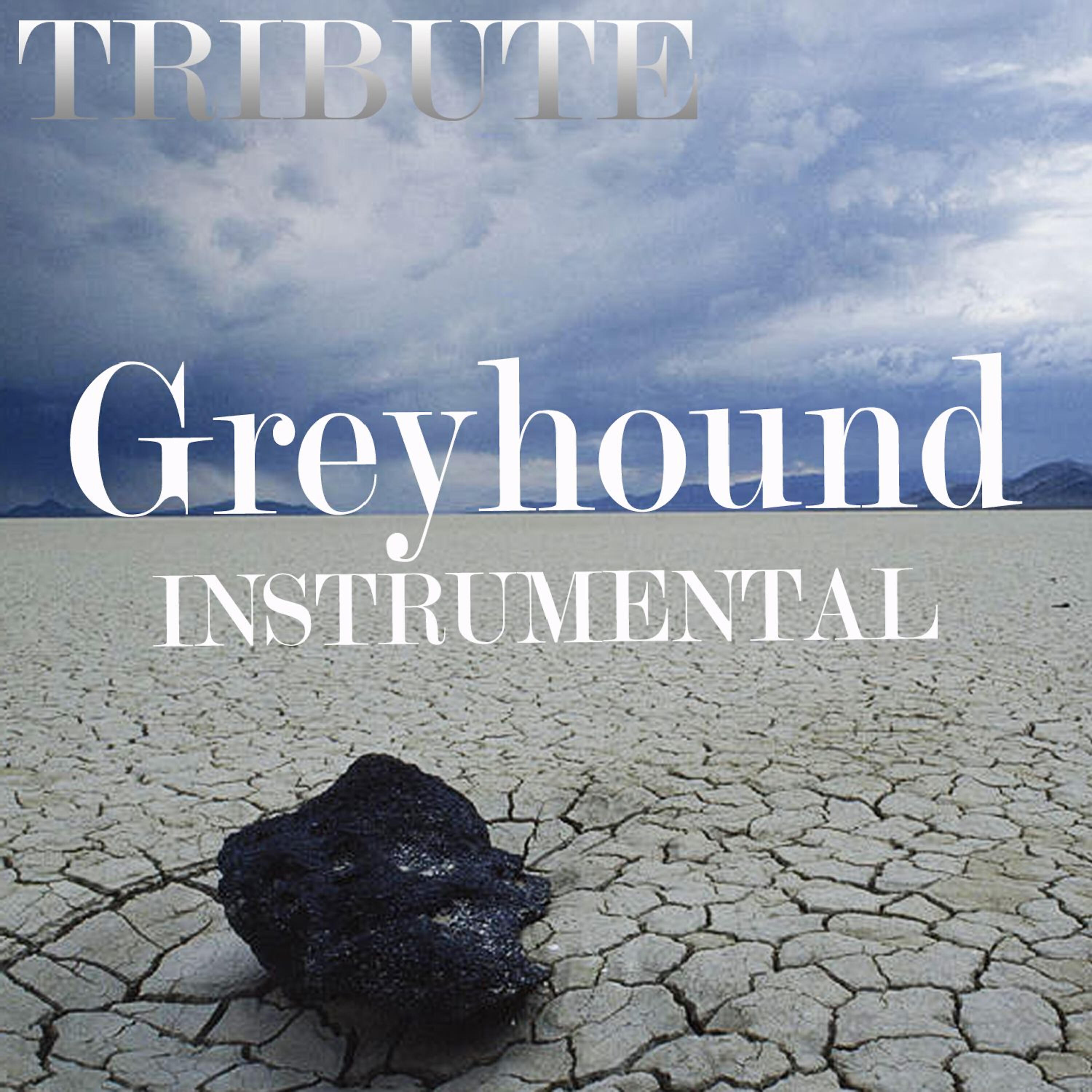 Релиз Greyhound (Swedish House Mafia Tribute)