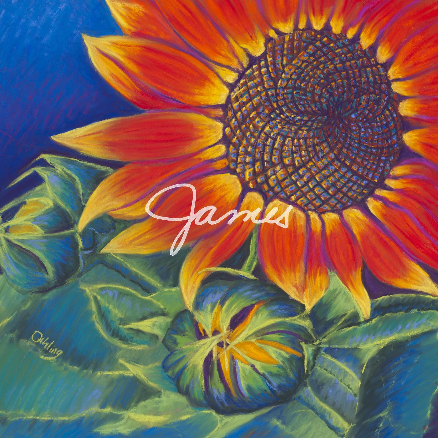 Релиз James