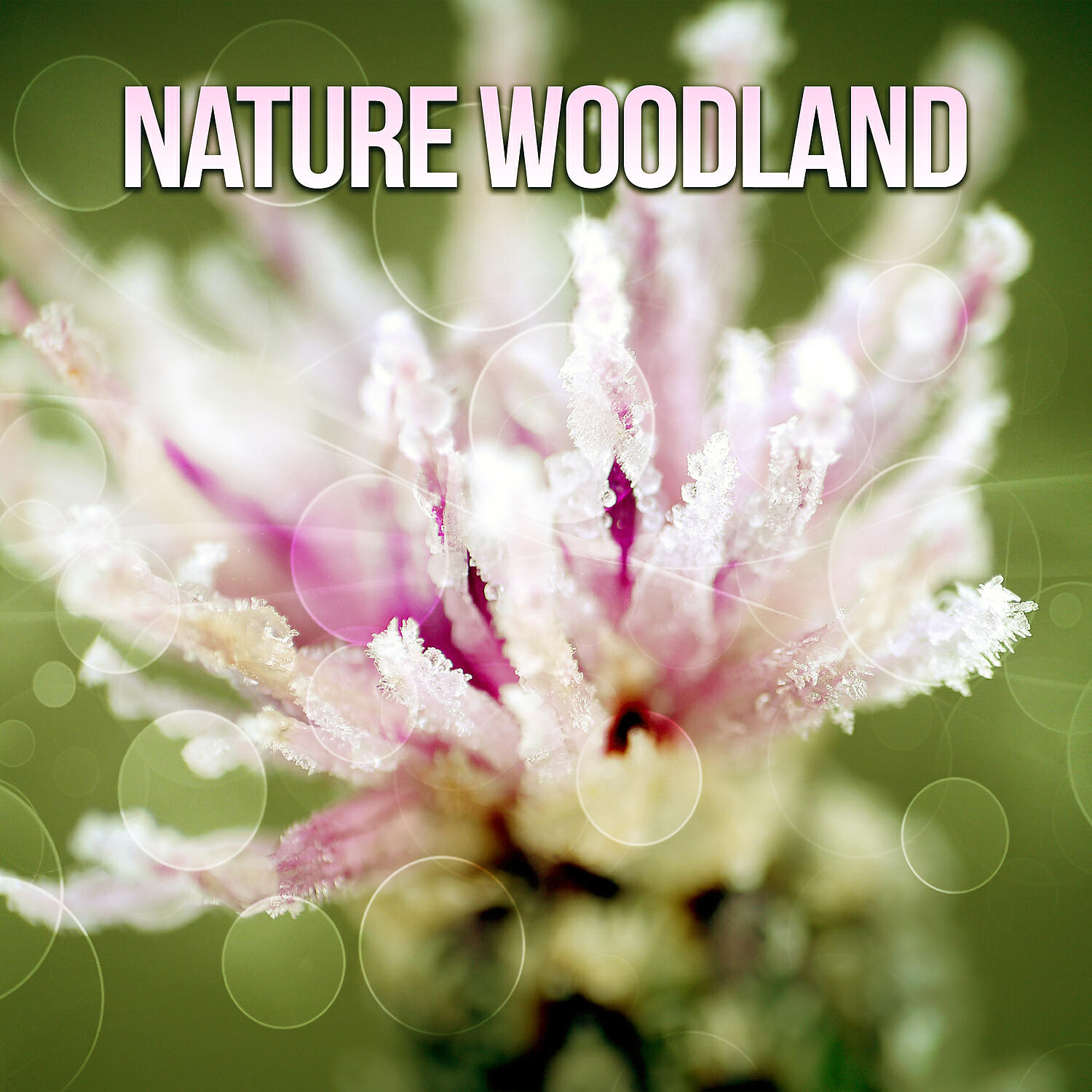 Nature Sounds for Sleepand Relaxation
