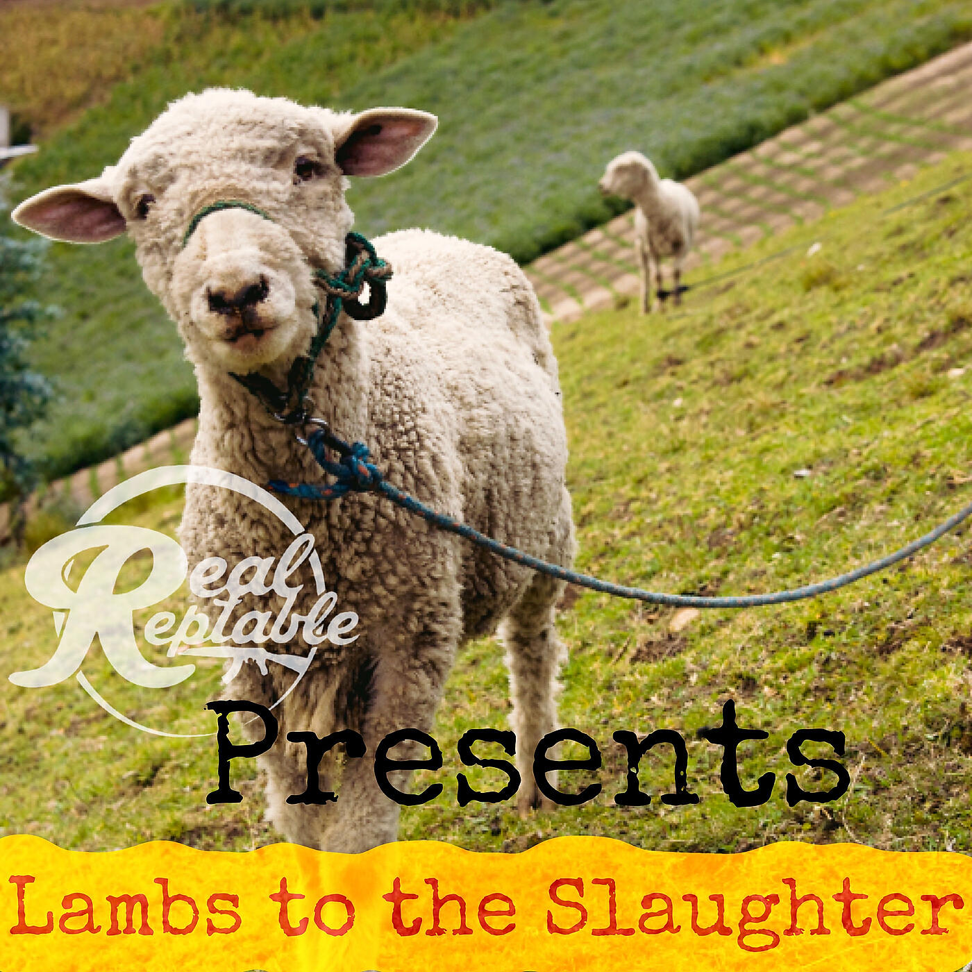 Релиз Lambs to the Slaughter
