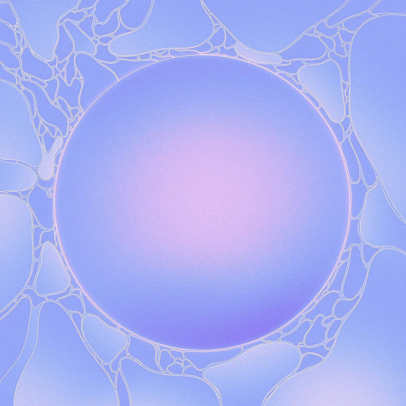 Релиз C i r c l e s