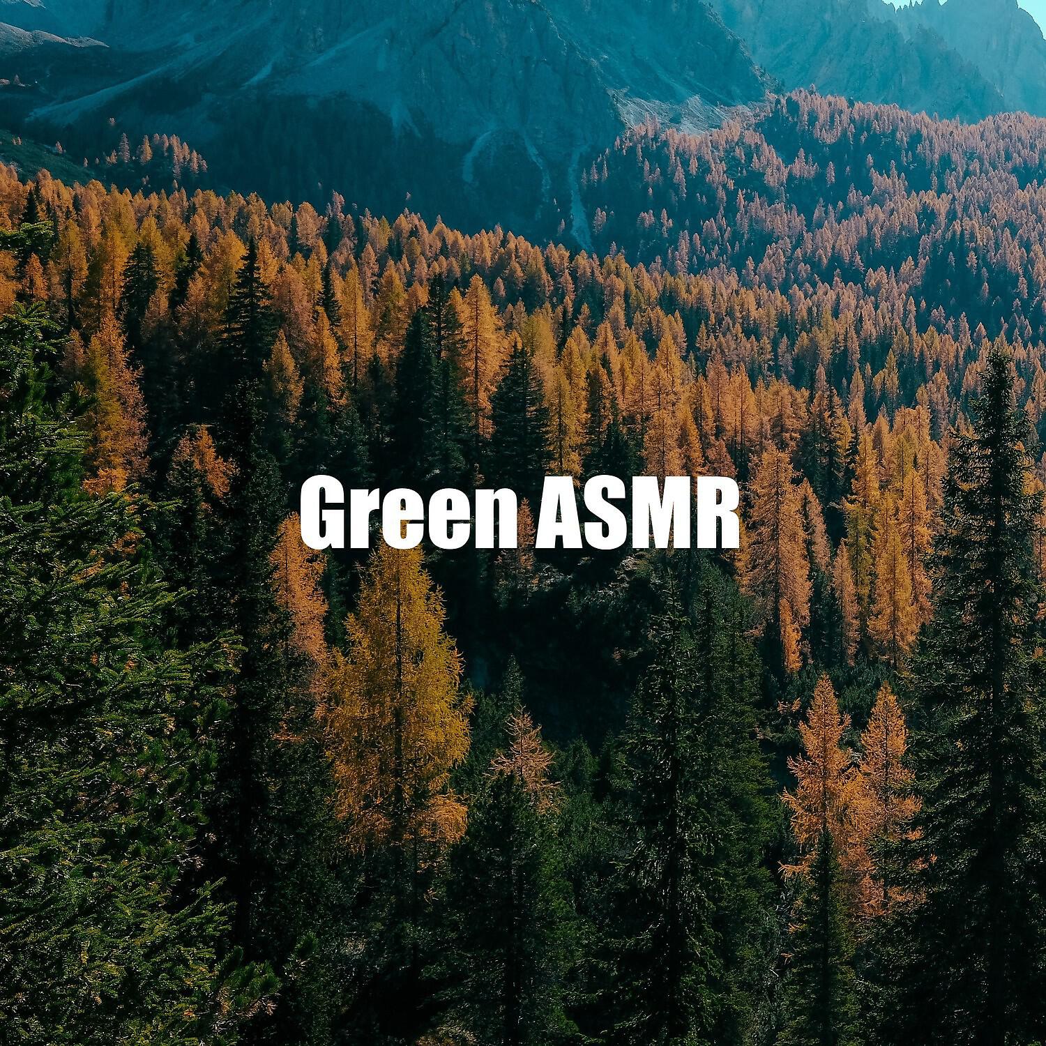Релиз Green ASMR