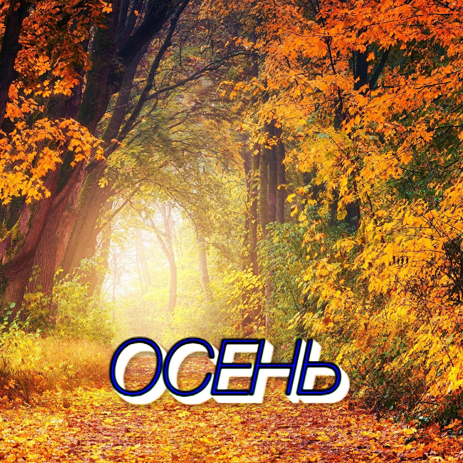Релиз ОСЕНЬ
