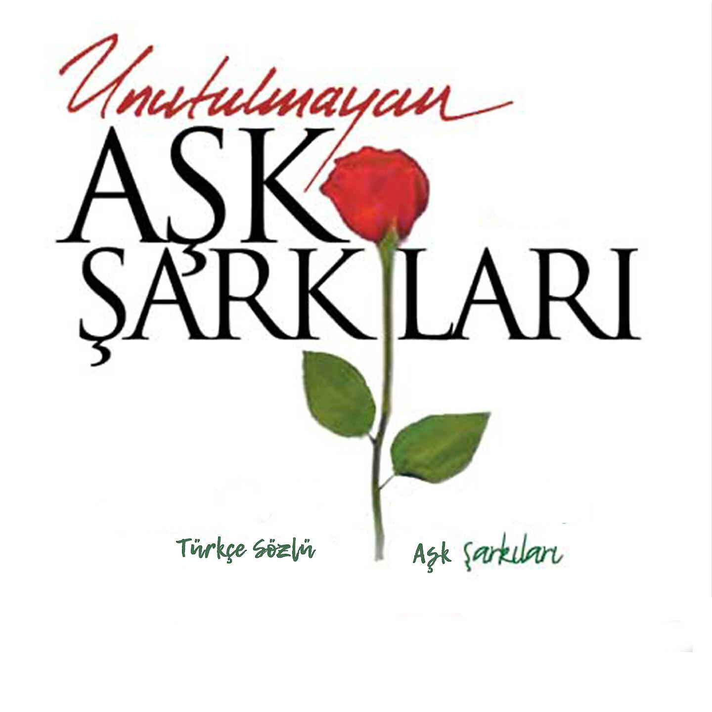 Постер альбома Unutulmayan Aşk Şarkıları