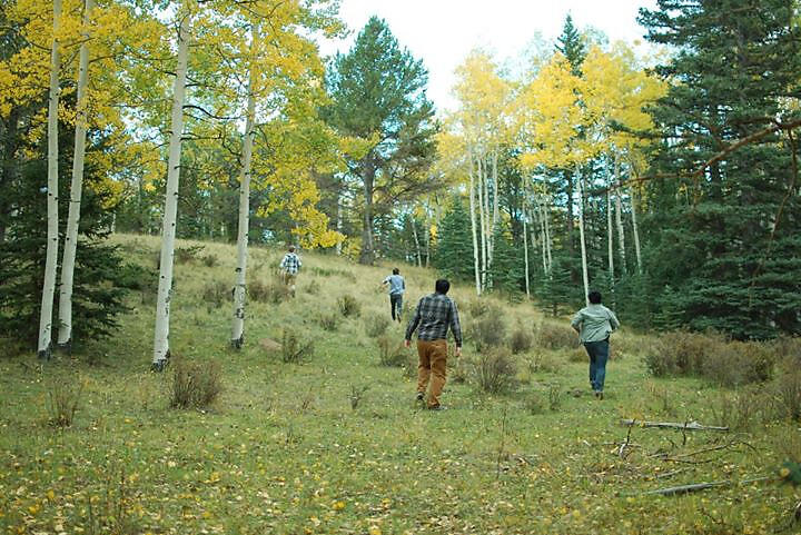 Autumn Creatures