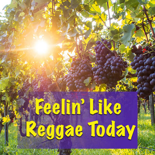 Релиз Feelin' Like Reggae Today