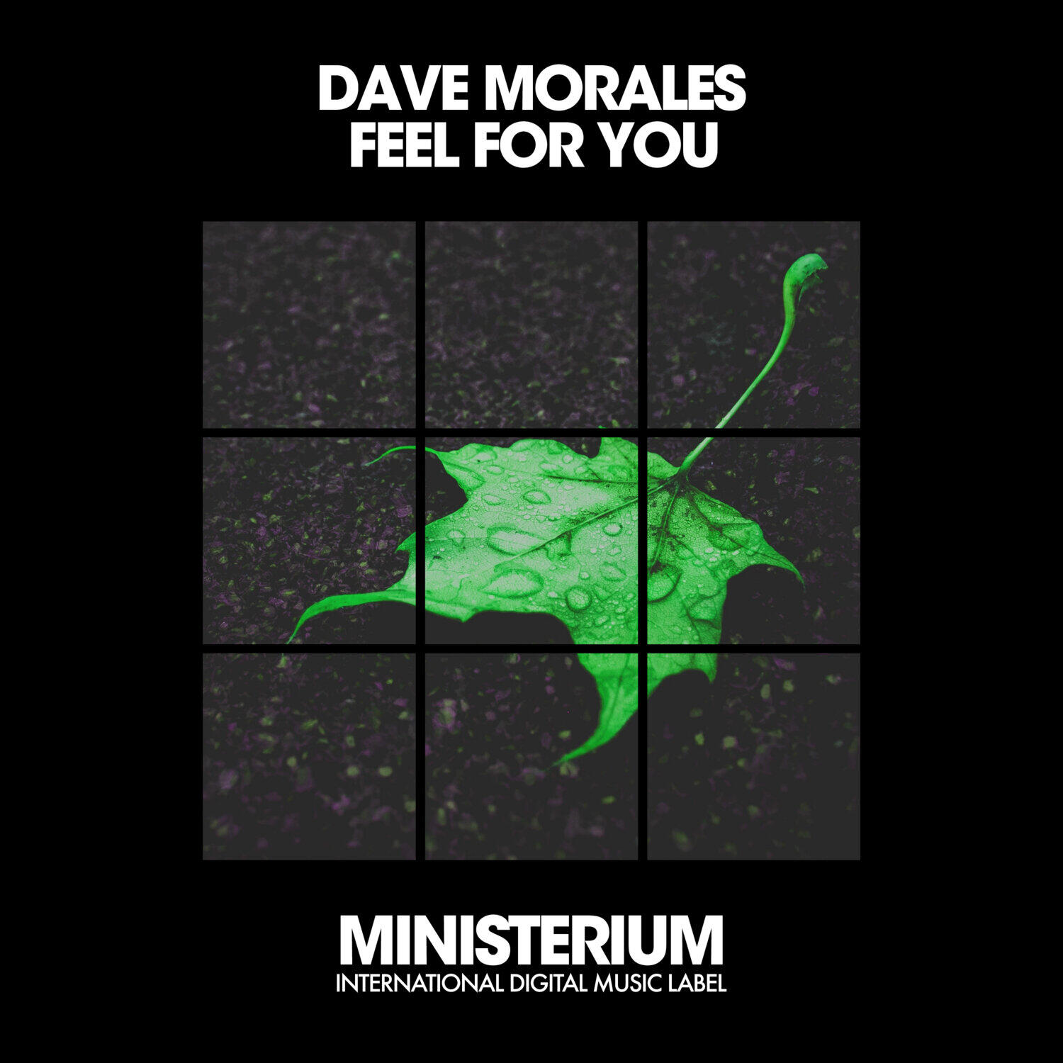 Релиз Feel For You