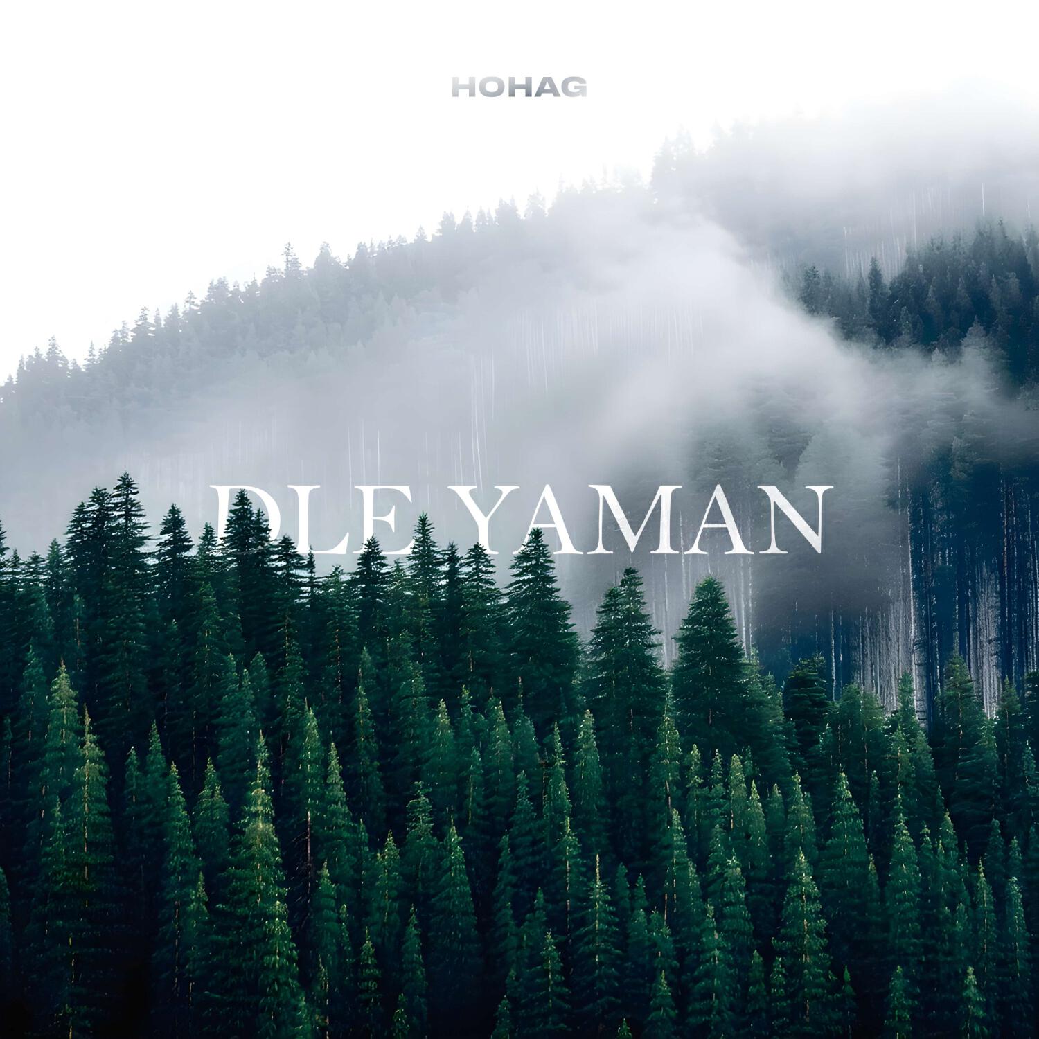 Постер альбома DLE YAMAN